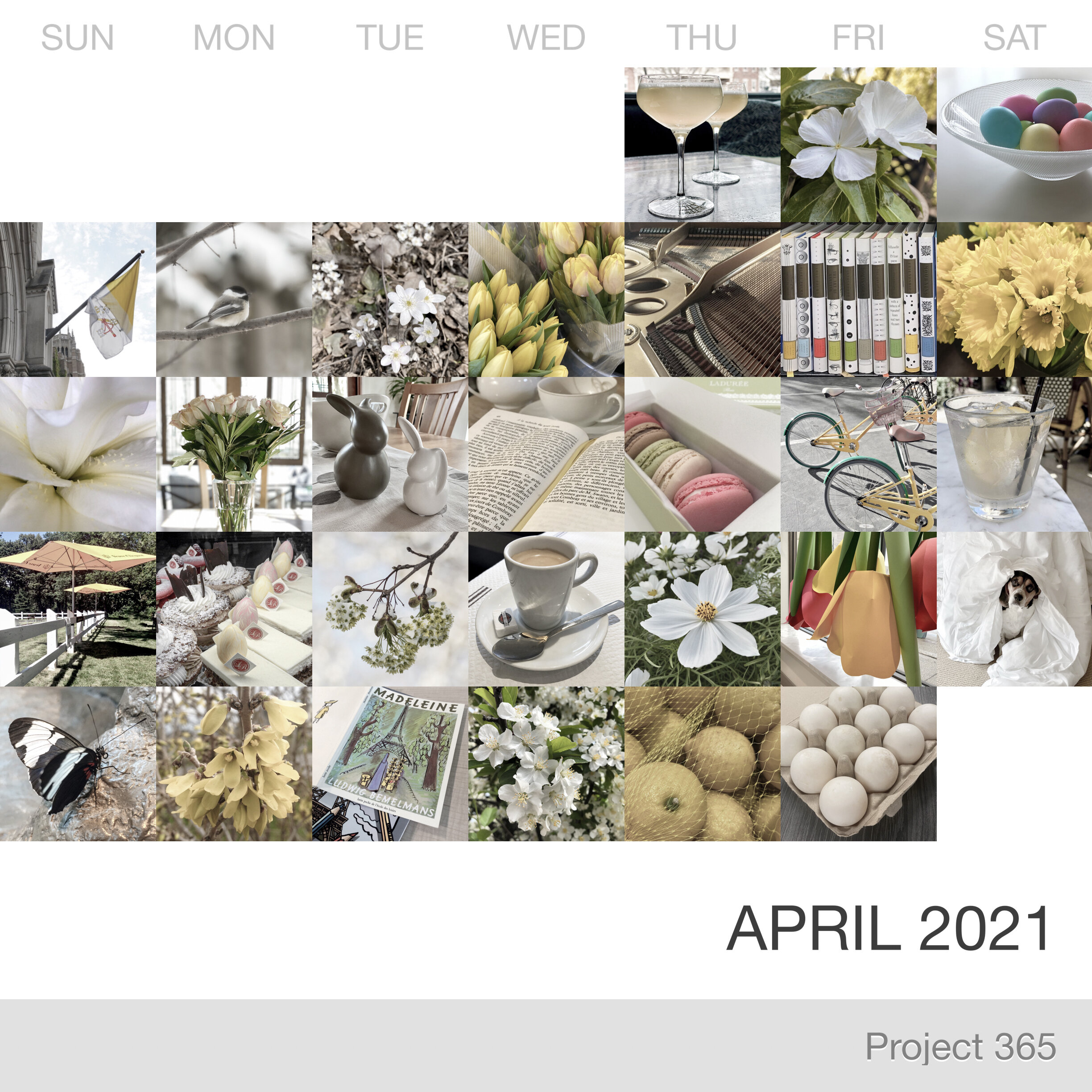 Project 365 _April-2021_Collage.jpg