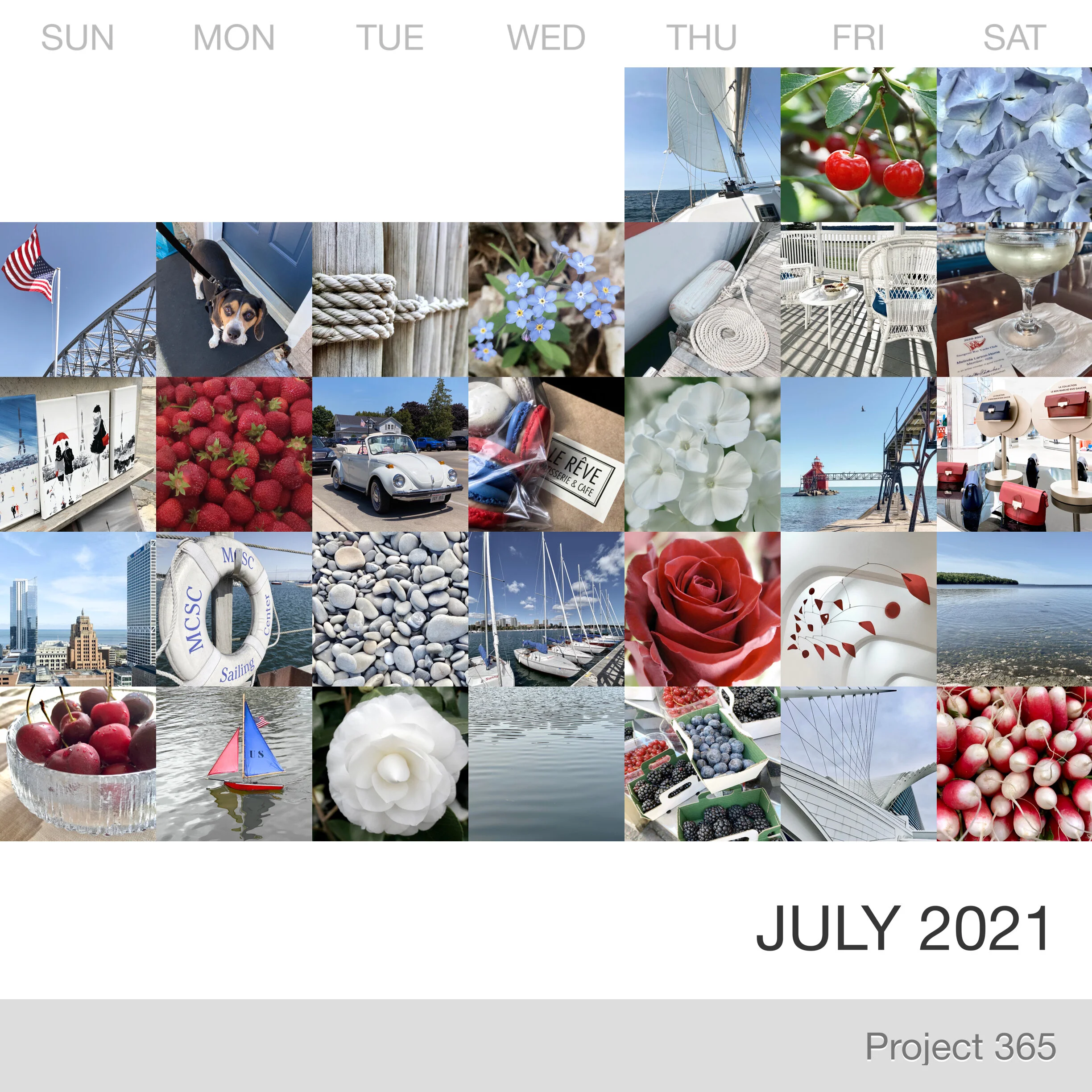 Project 365 _July-2021_Collage.jpg