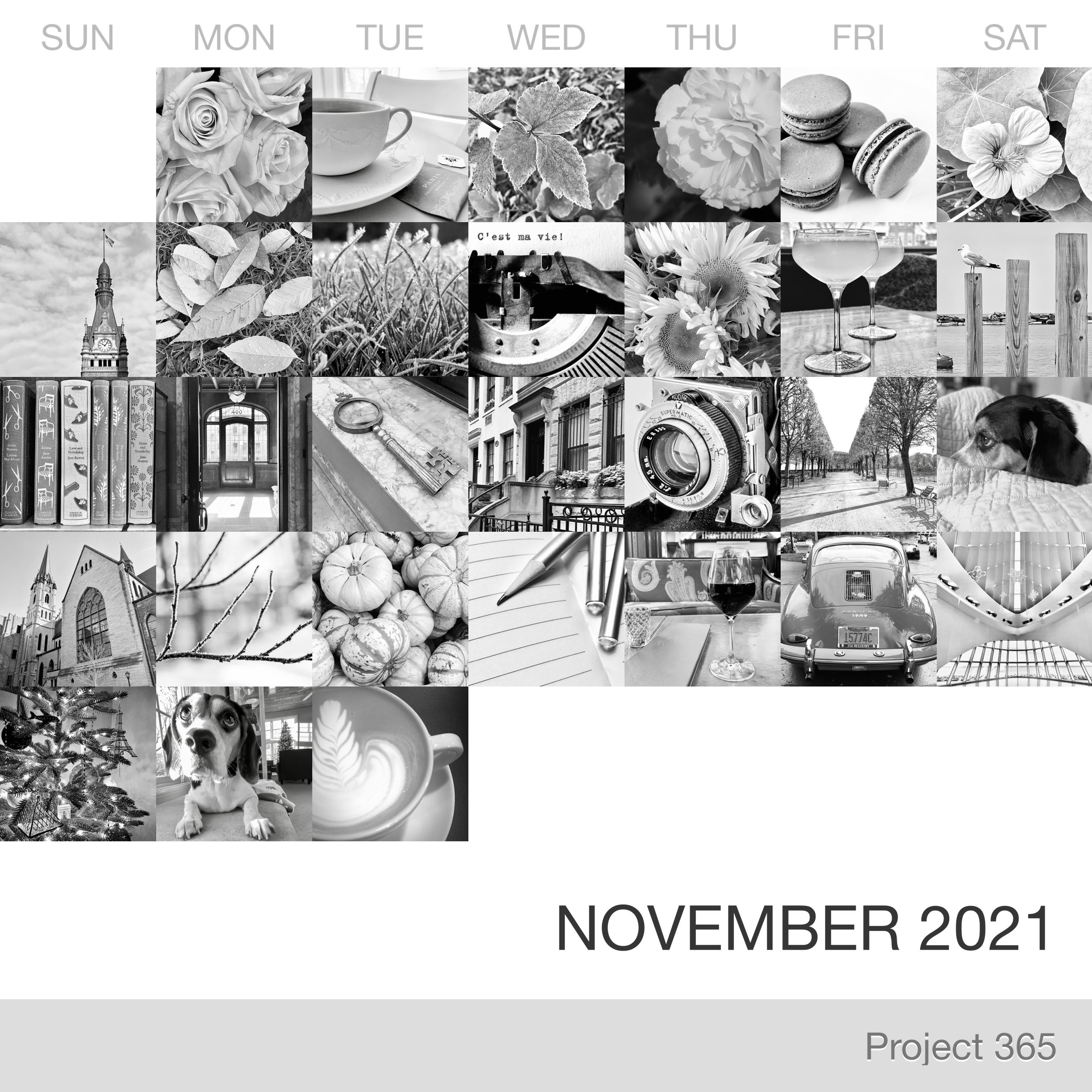 Project 365 _November-2021_Collage.jpg