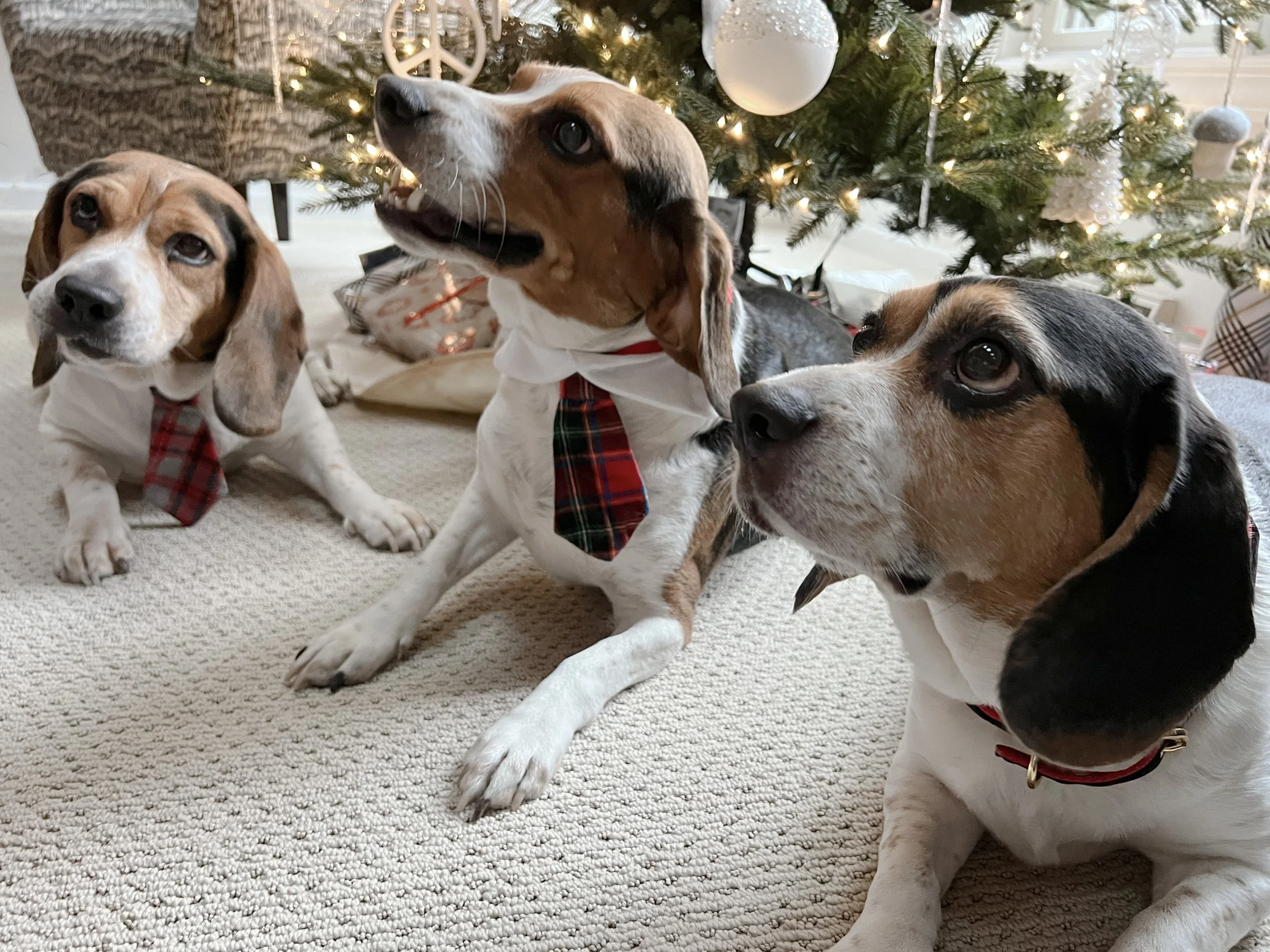 Holiday Bucket List 2021