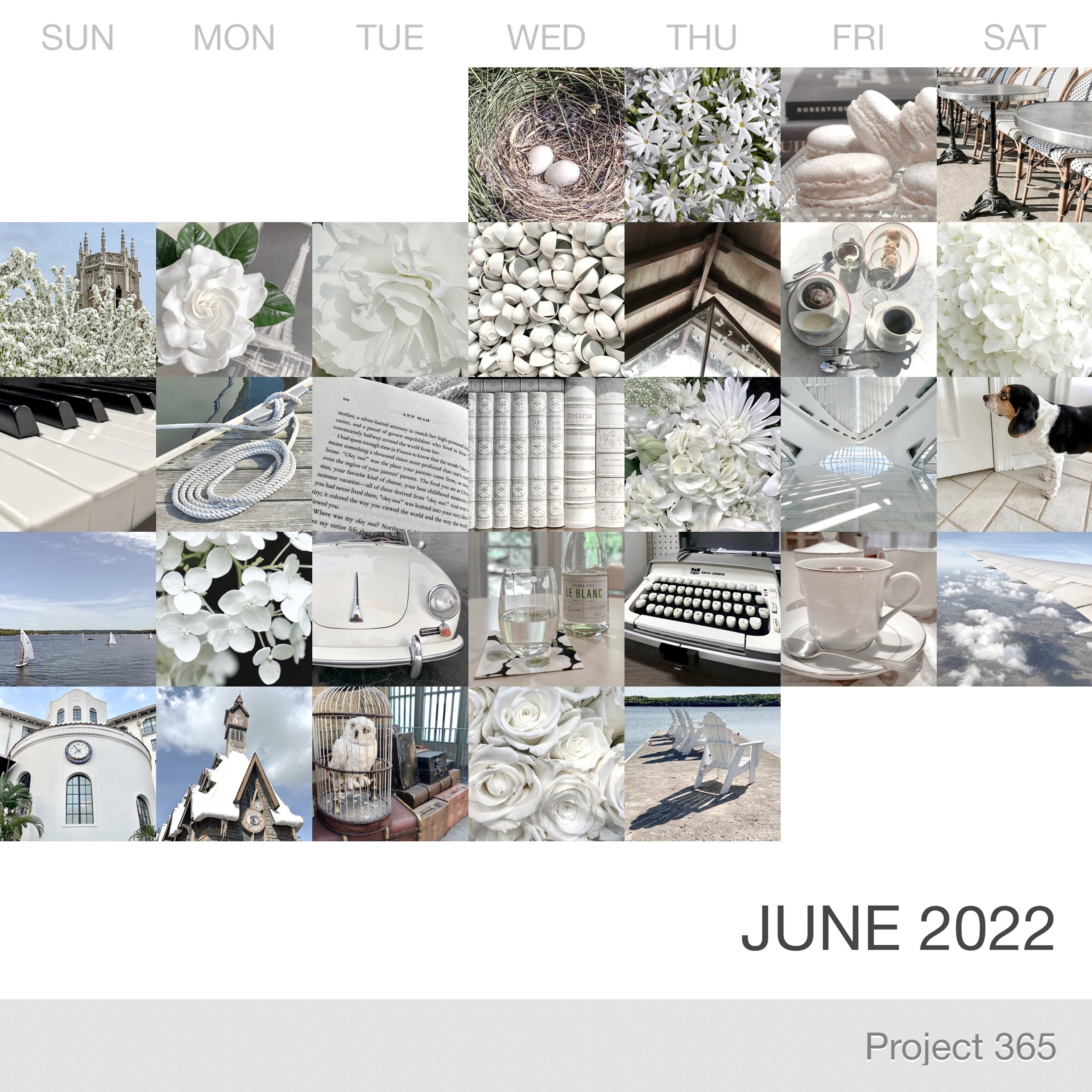 Project 365 _June-2022_Collage.jpg