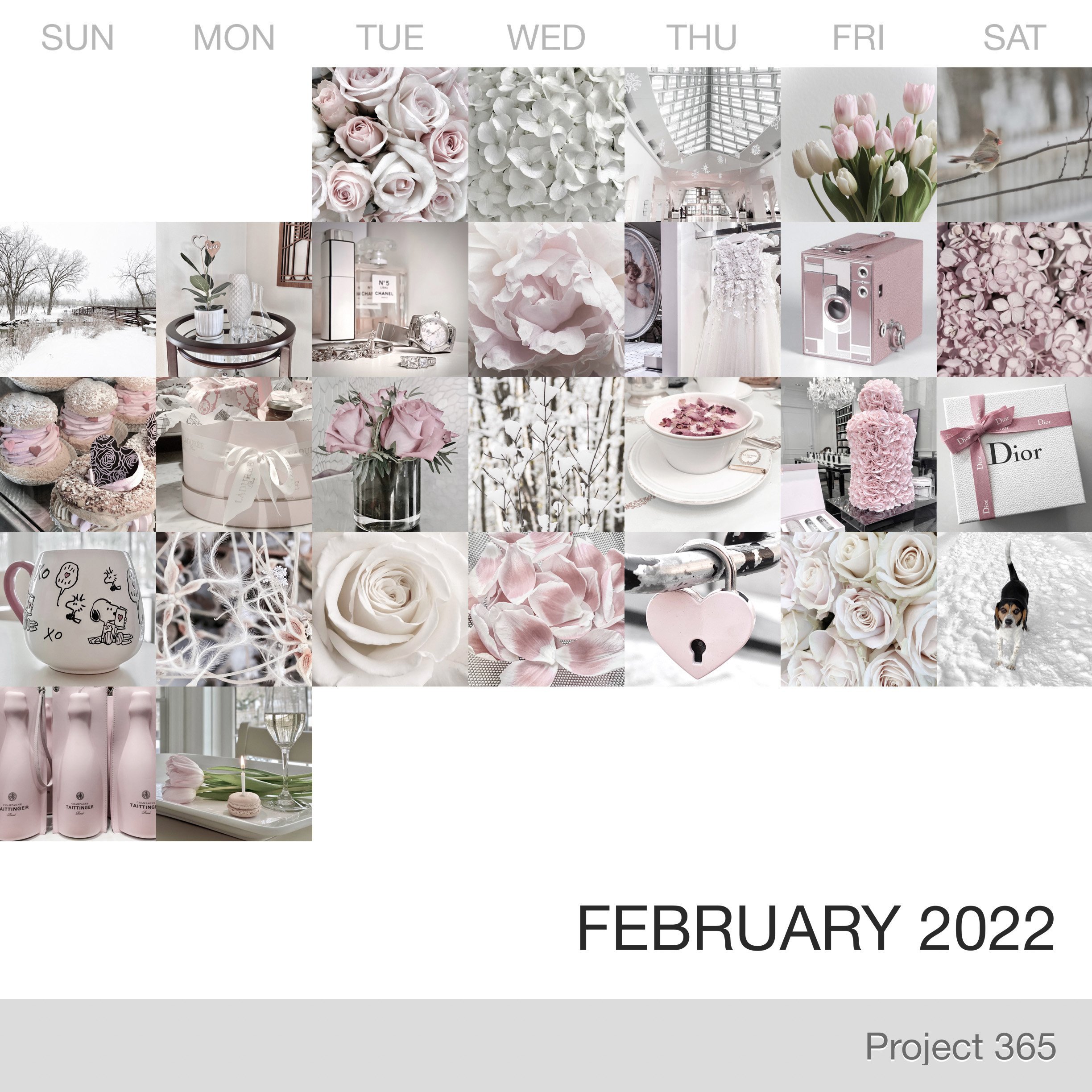 Project+365+_February-2022_Collage.jpg