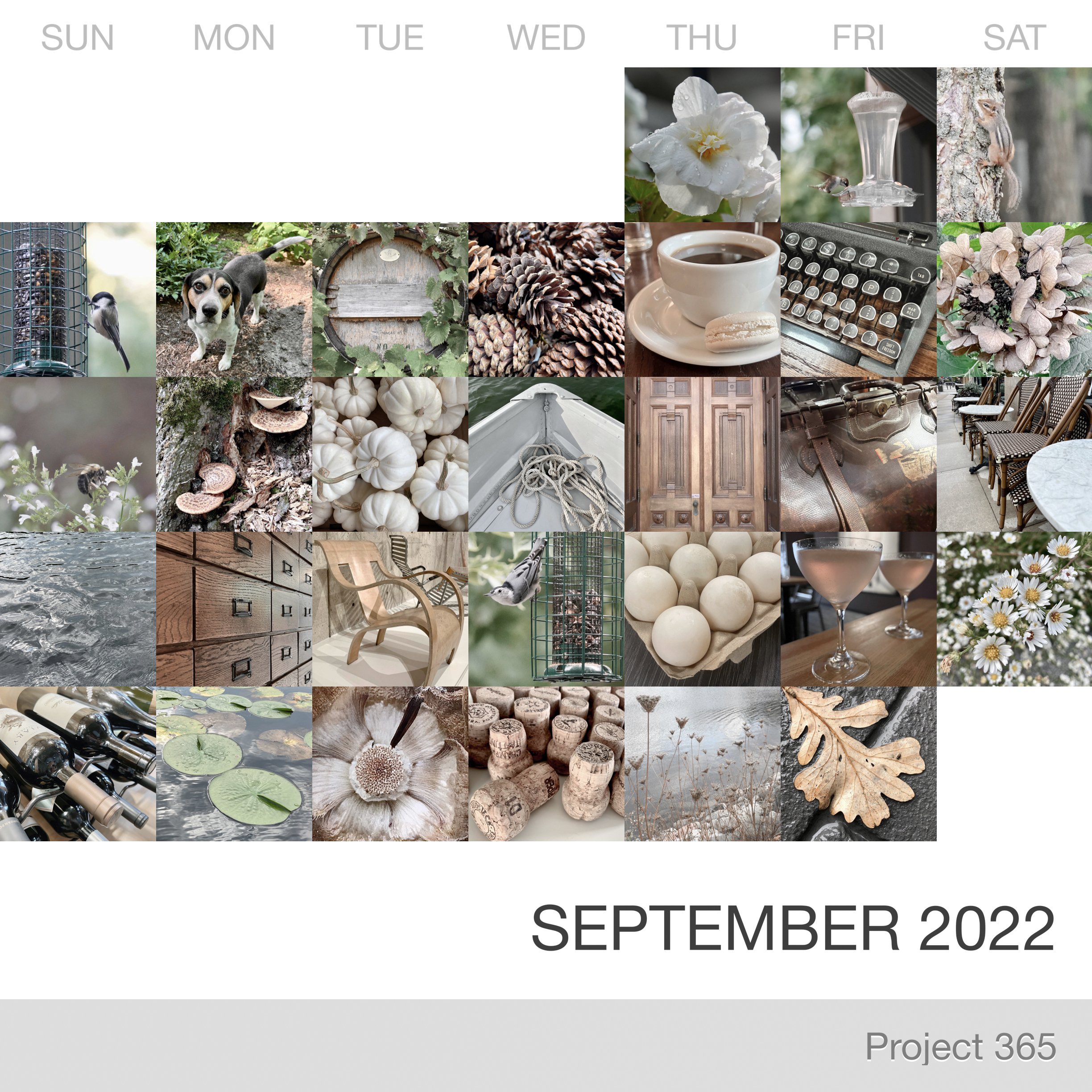 Project 365 _September-2022_Collage.jpg