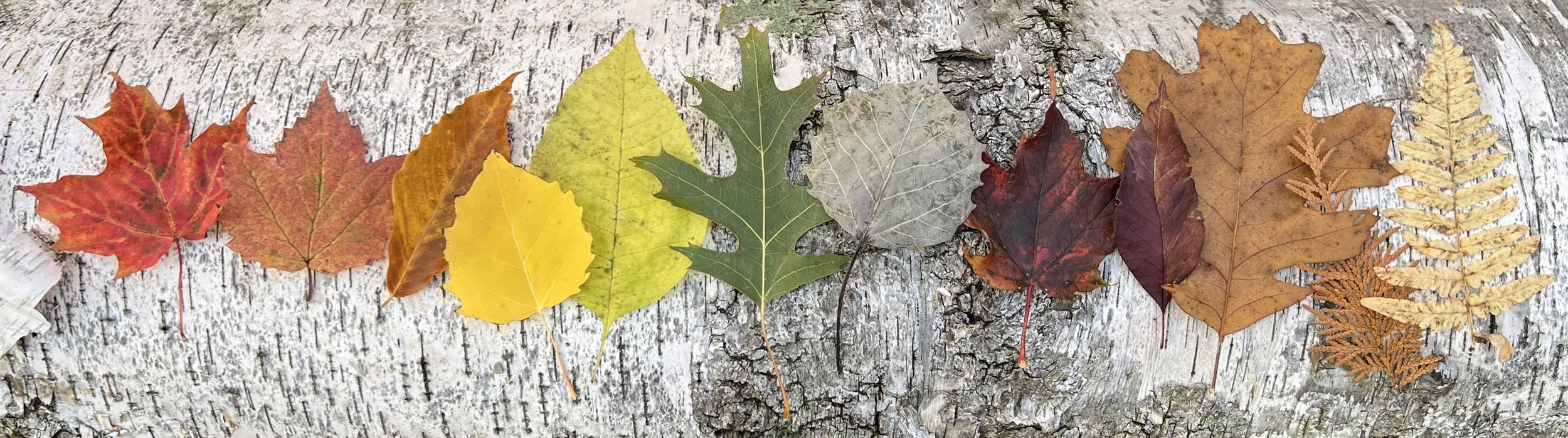 Door County - Autumn 2022