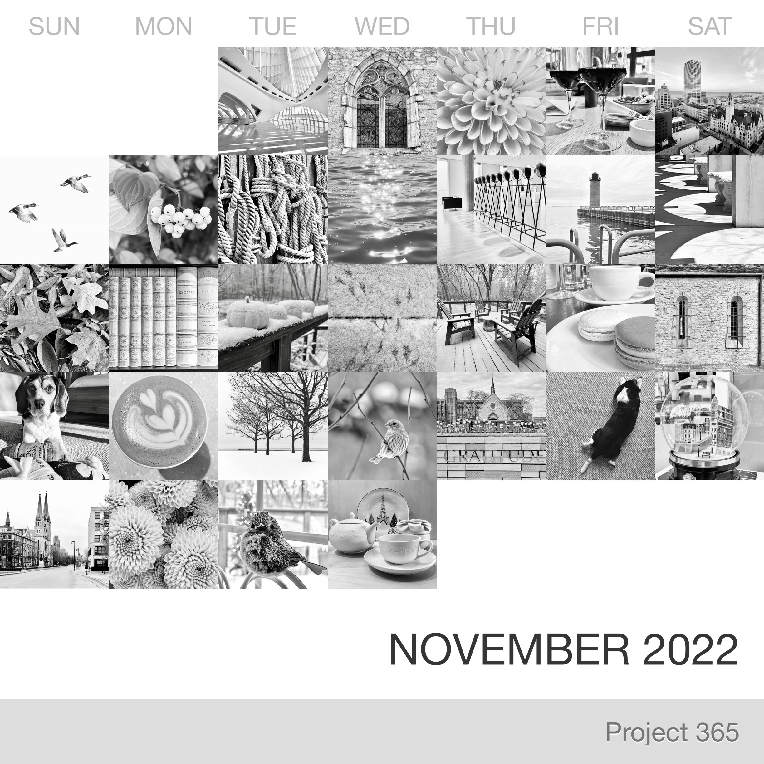 Project 365 _November-2022_Collage.jpg