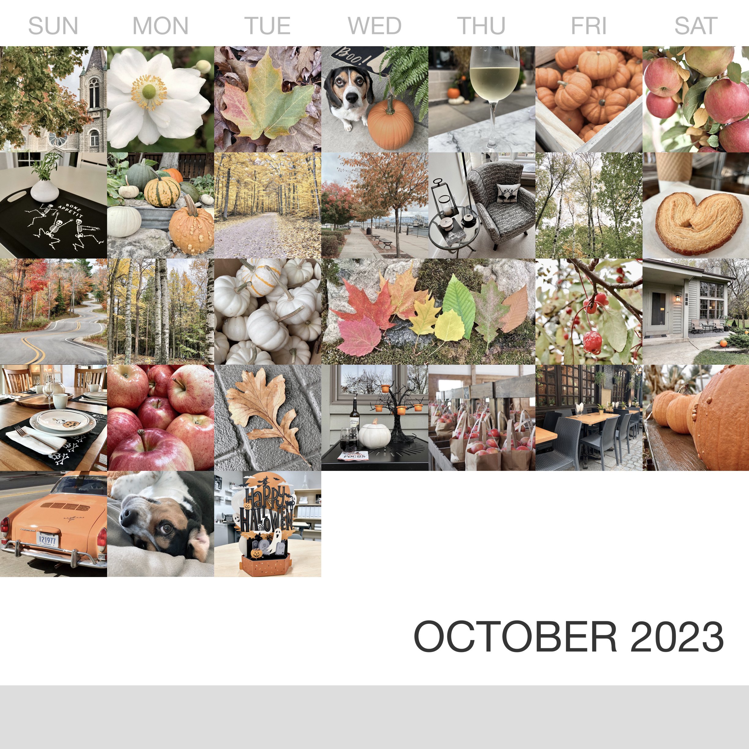 October-2023_Collage.jpg