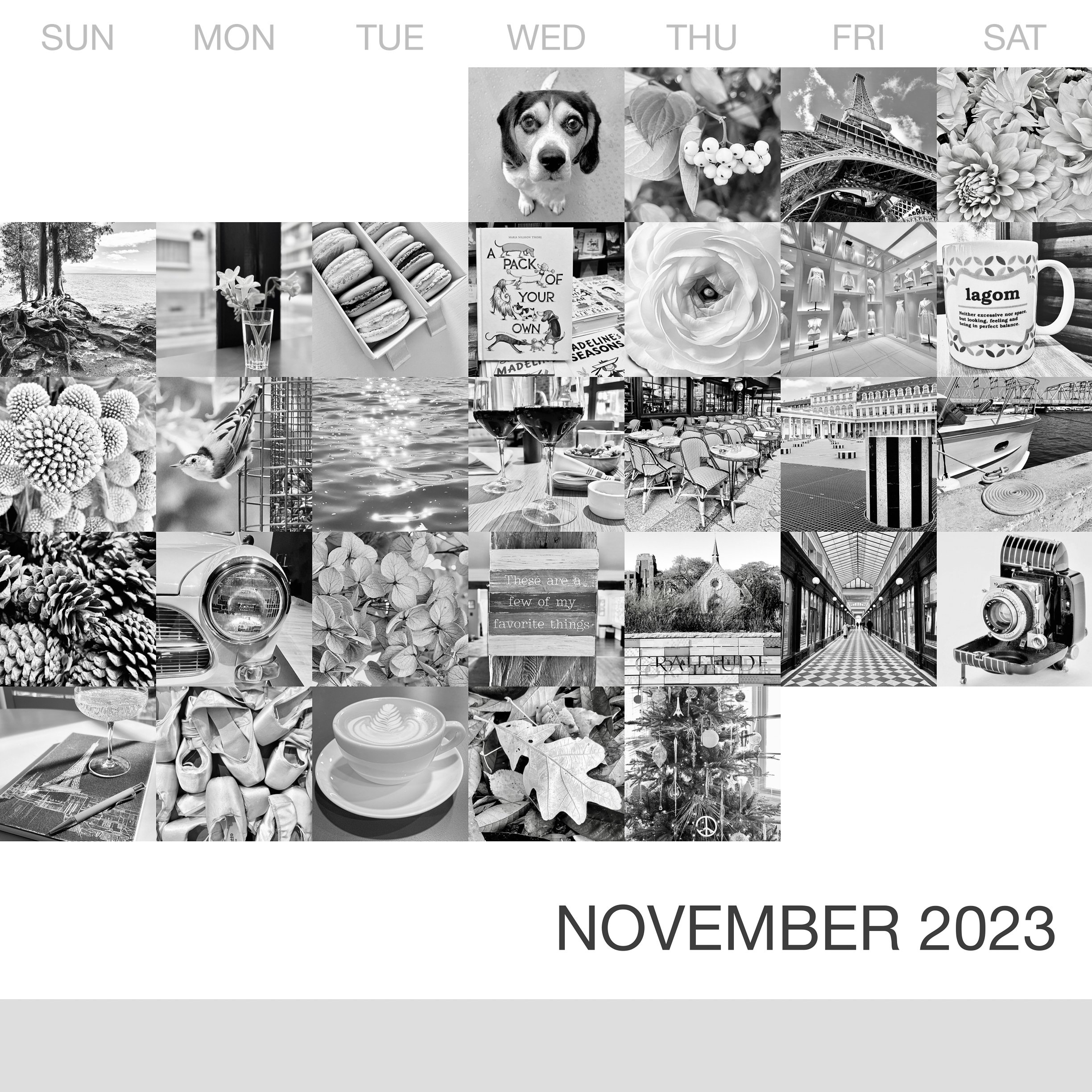 _November-2023_Collage.jpg