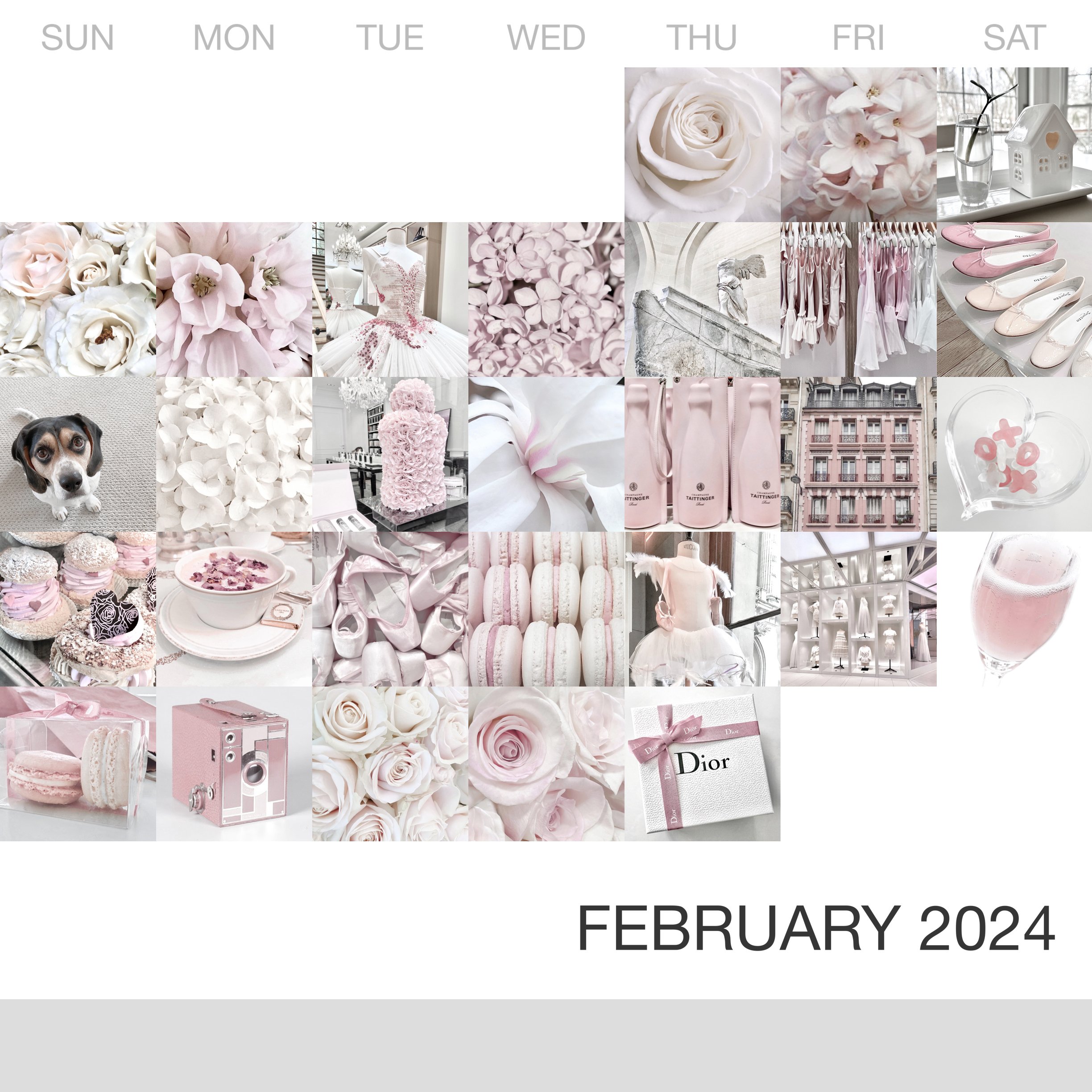 _February-2024_Collage.jpg