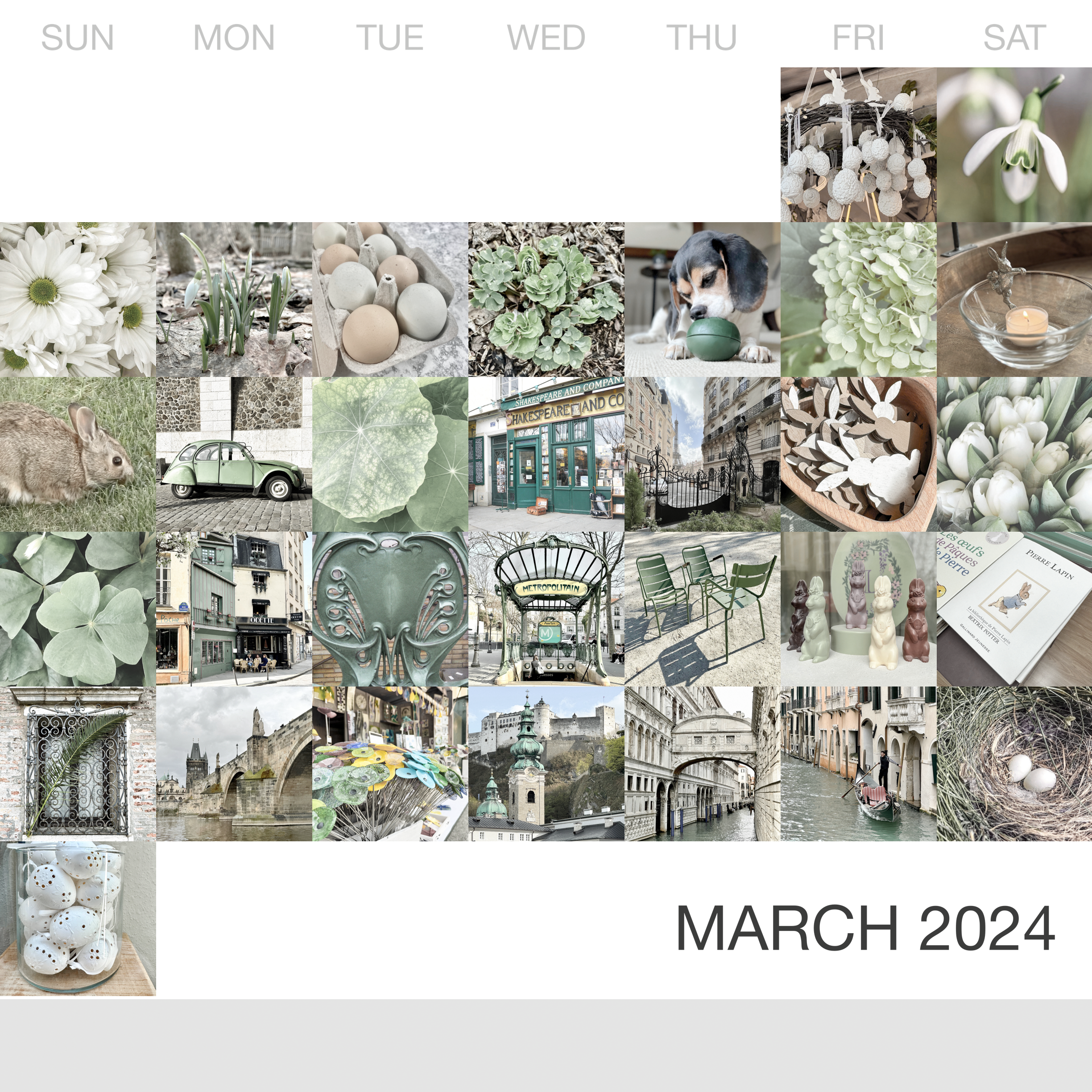 _March-2024_Collage.png