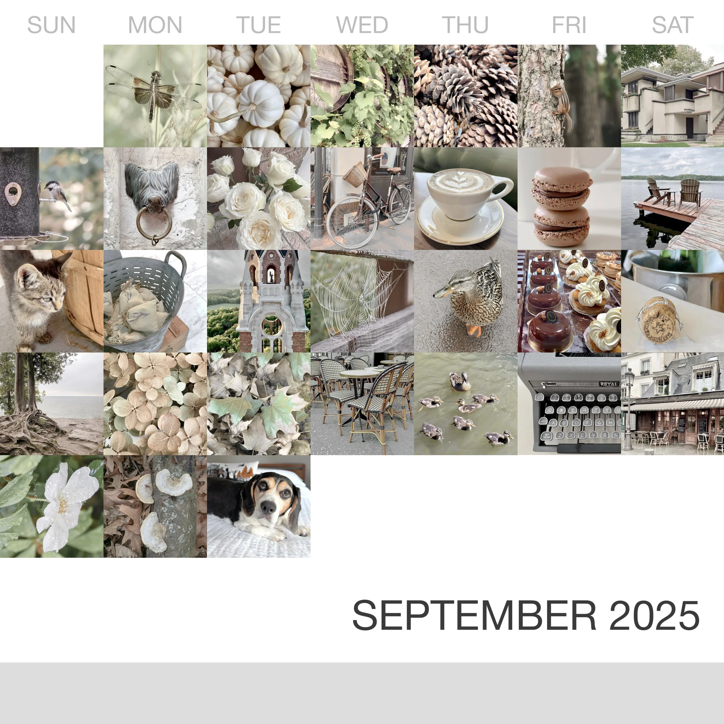 _September-2025_Collage.jpg