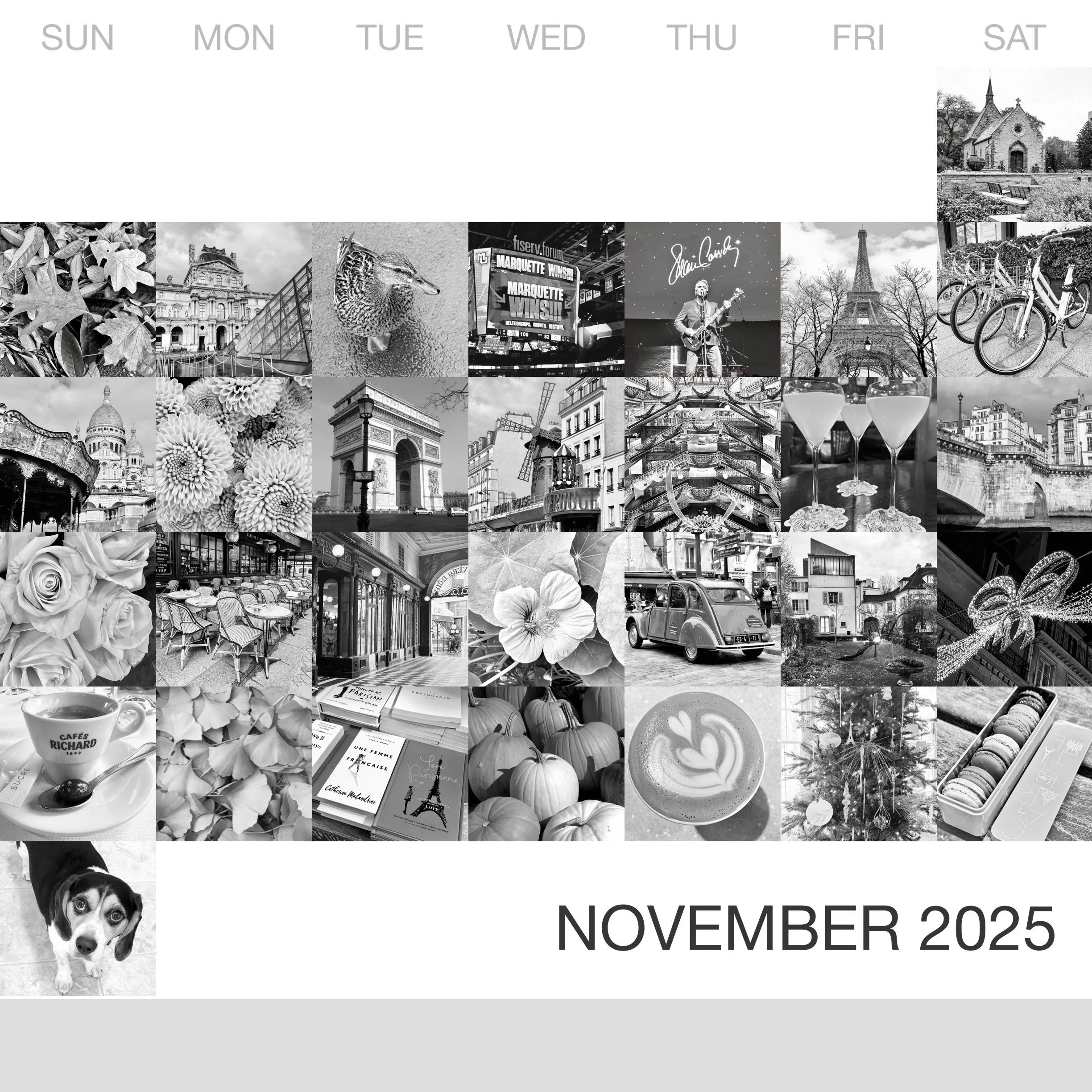 _November-2025_Collage.jpg