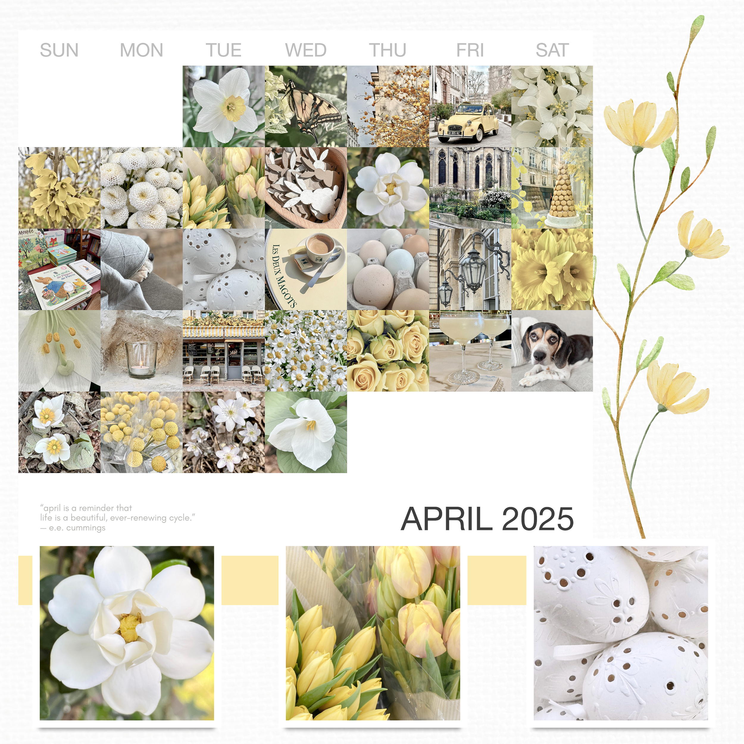 Instapuzzle (1) (1).png