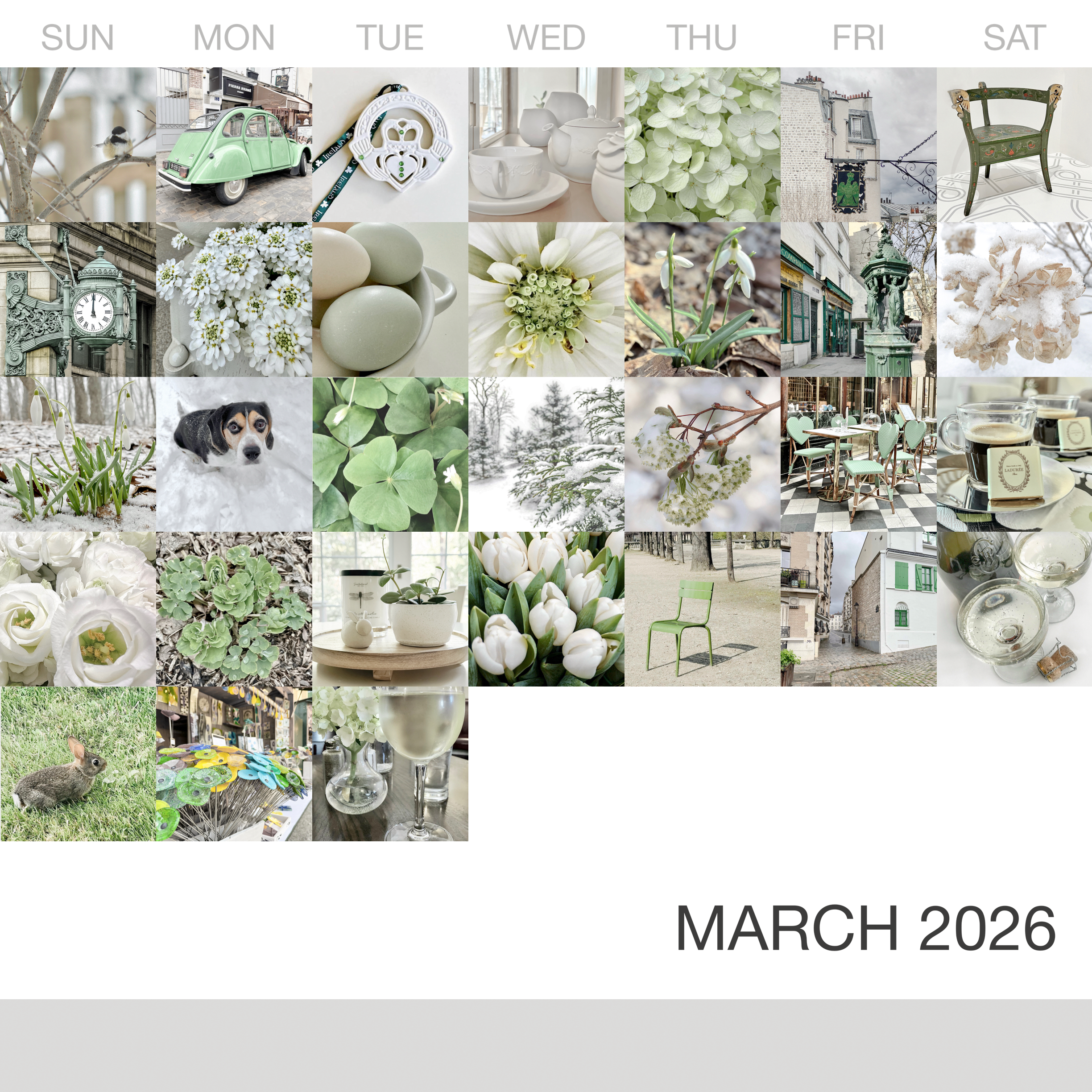_March-2026_Collage.png