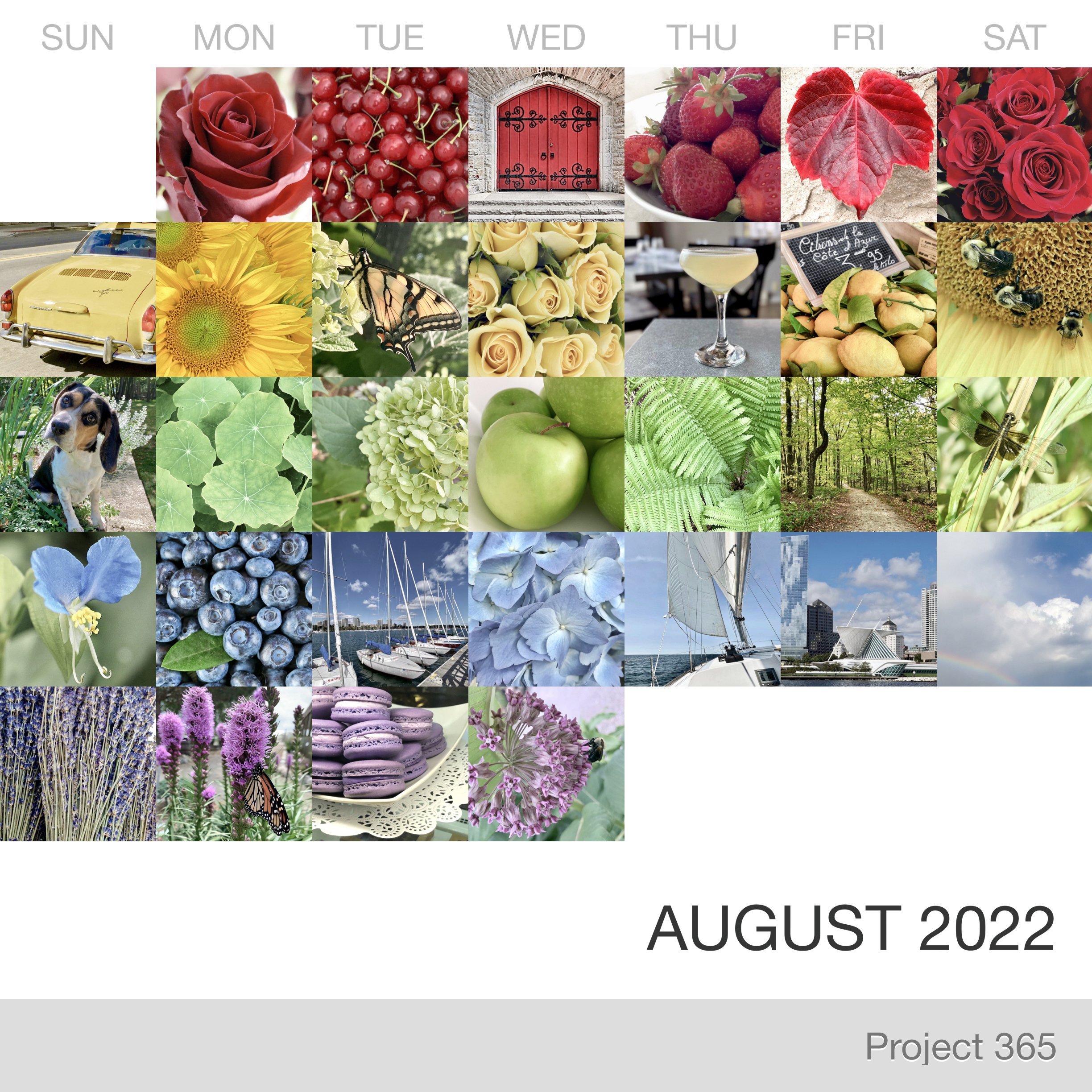Project 365 _August-2022_Collage 2.jpg