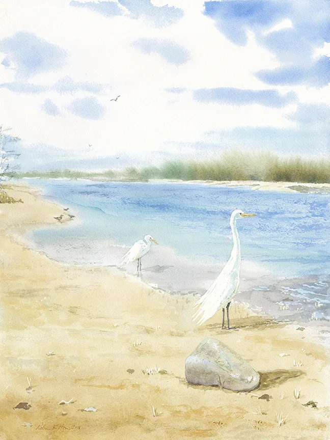 White Herons, Sunken Meadow