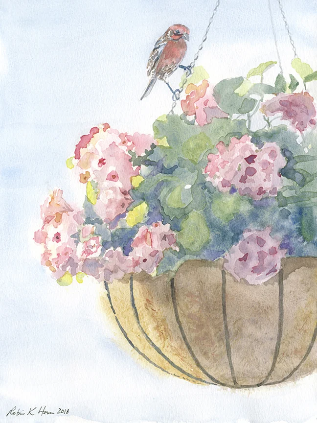 Nesting House Finch