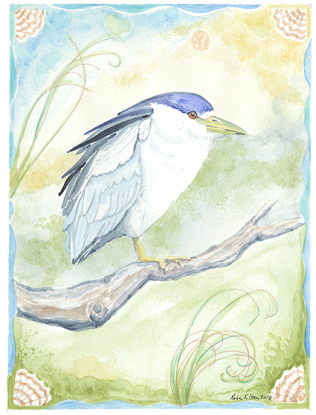 Green Heron