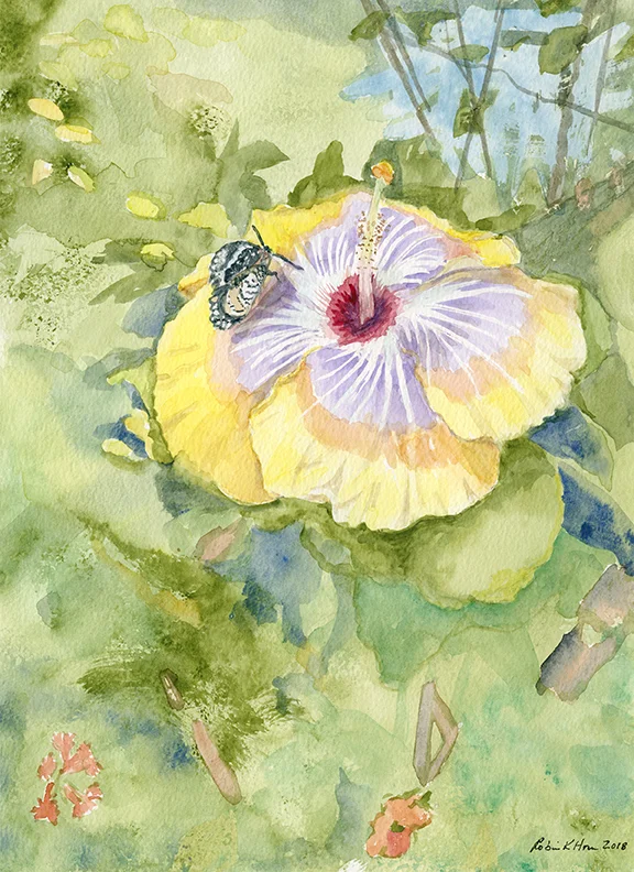 Butterfly on Hibiscus