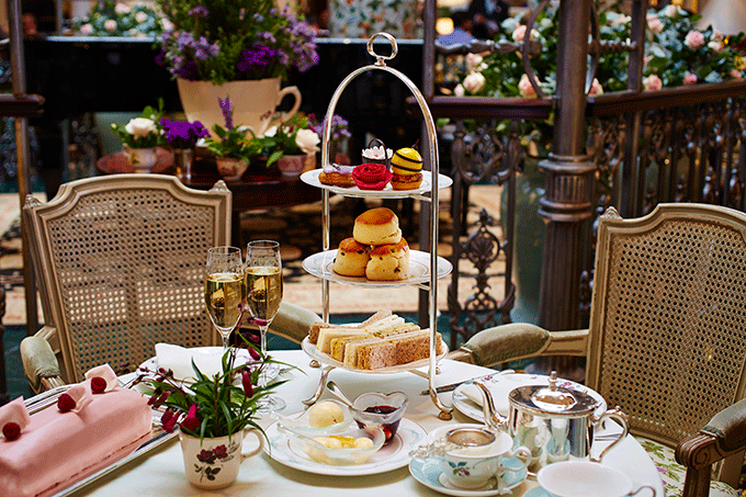 savoy-tea.gif