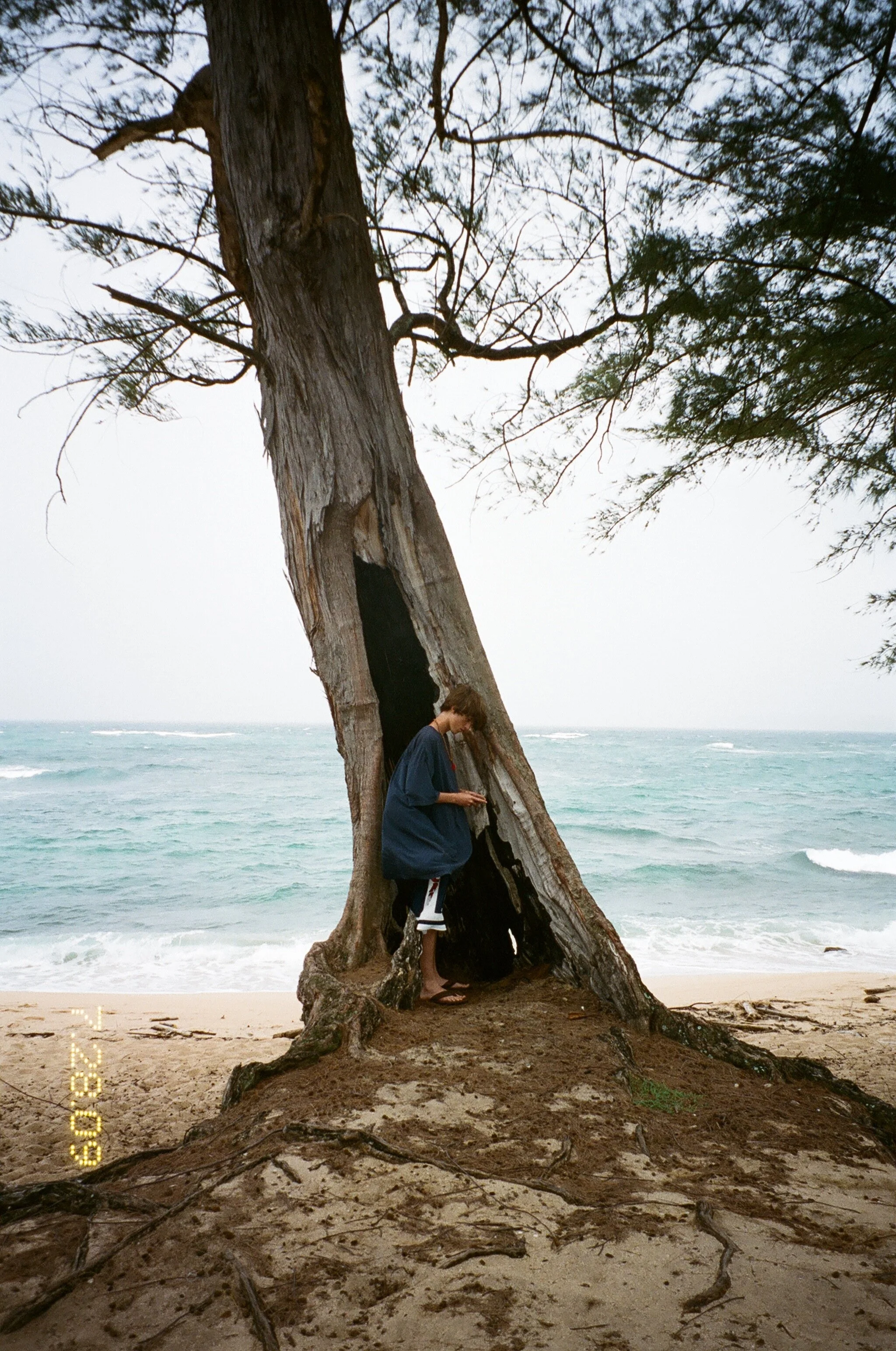 ARI MARCOUPOULOS