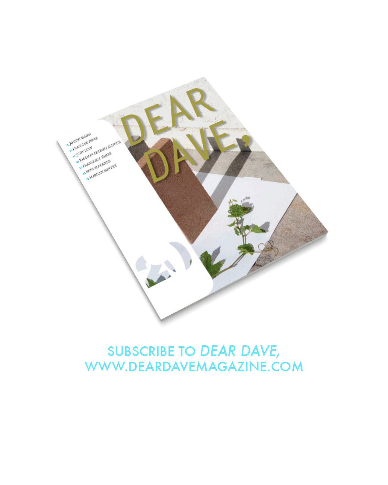 dear-dave,-issue-20.gif