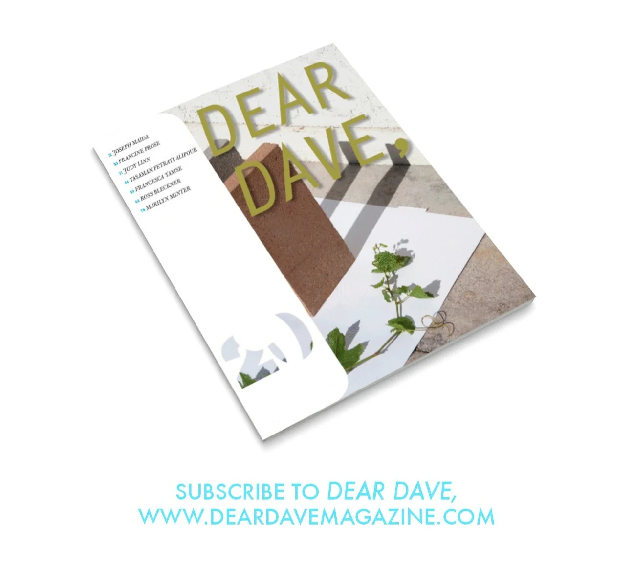 1 YEAR (3 ISSUES) OF DEAR DAVE,