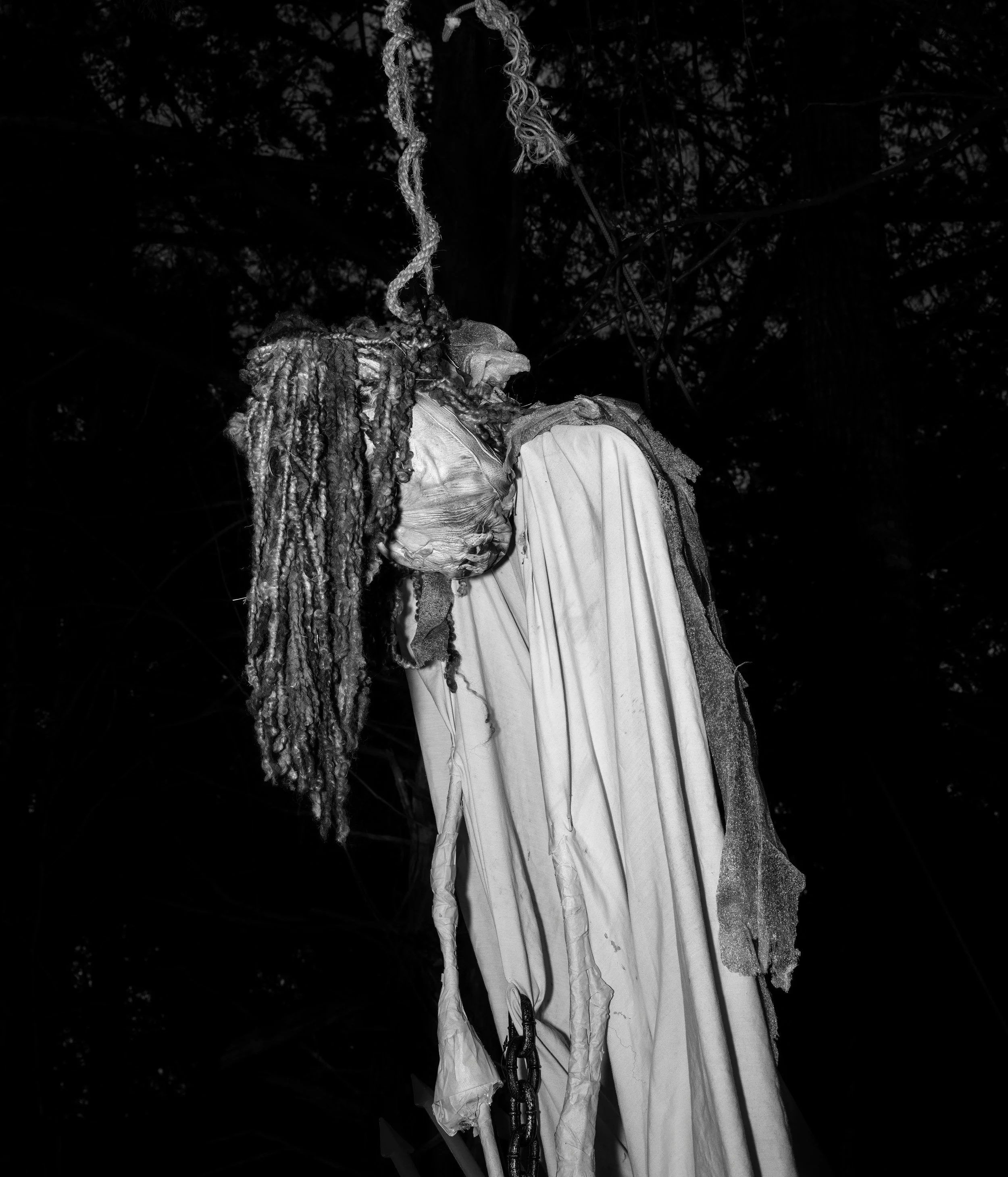 Spring Hill, Barbour County, Alabama. Hanged effigy