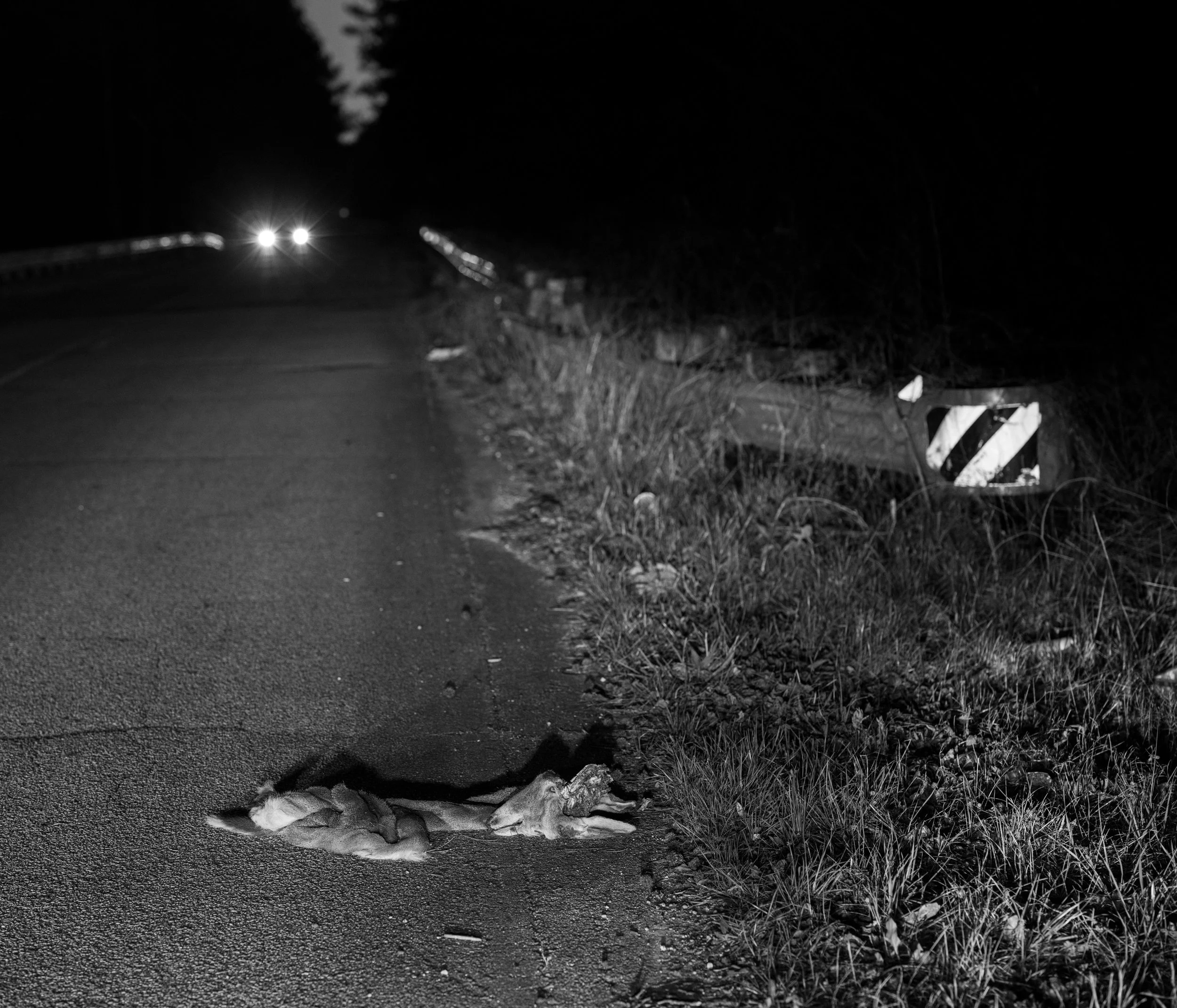 Macon County, Alabama. Near the site of Fort Bainbridge
