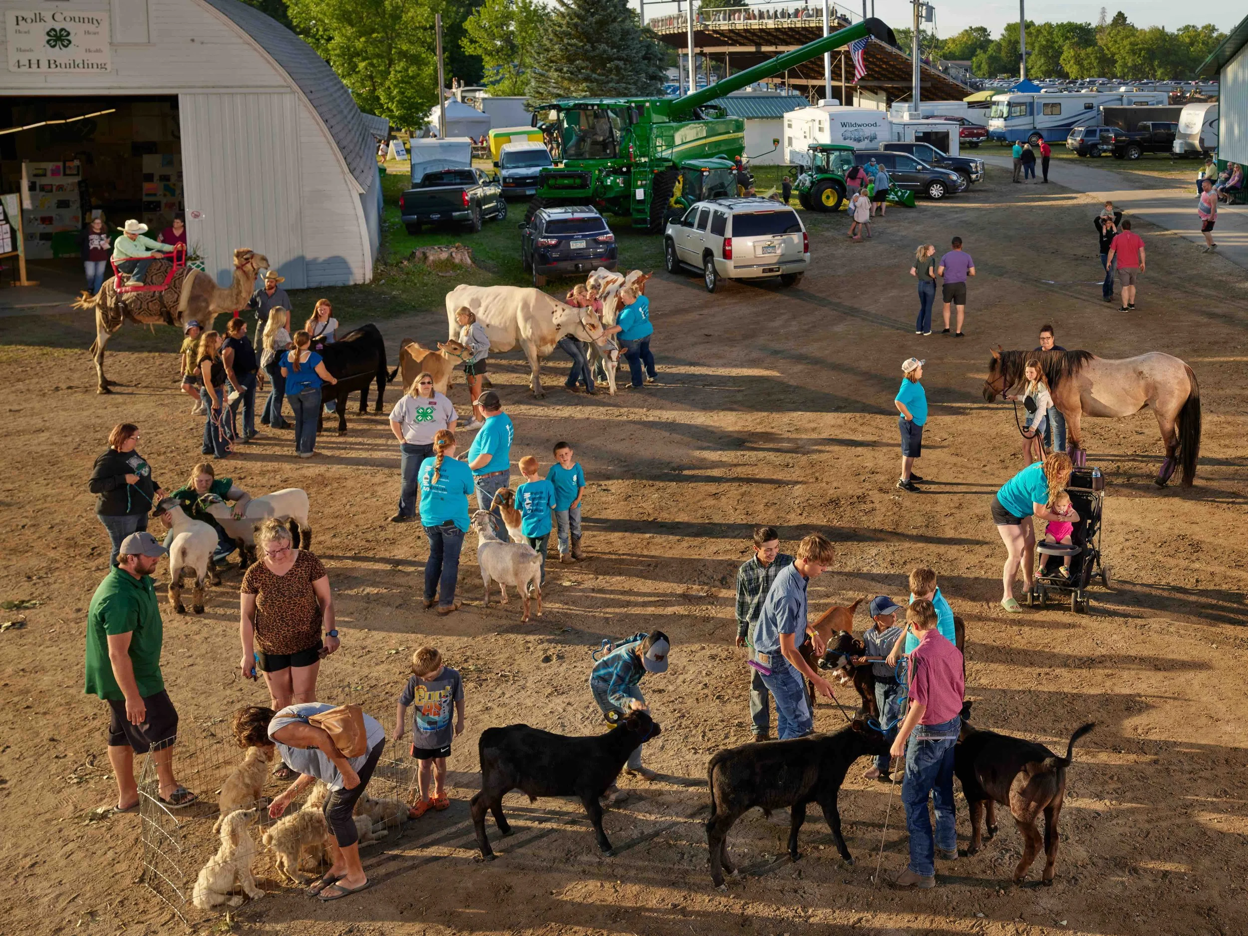 Polk County Fair 4-H, Fertile, Minnesota, 2024