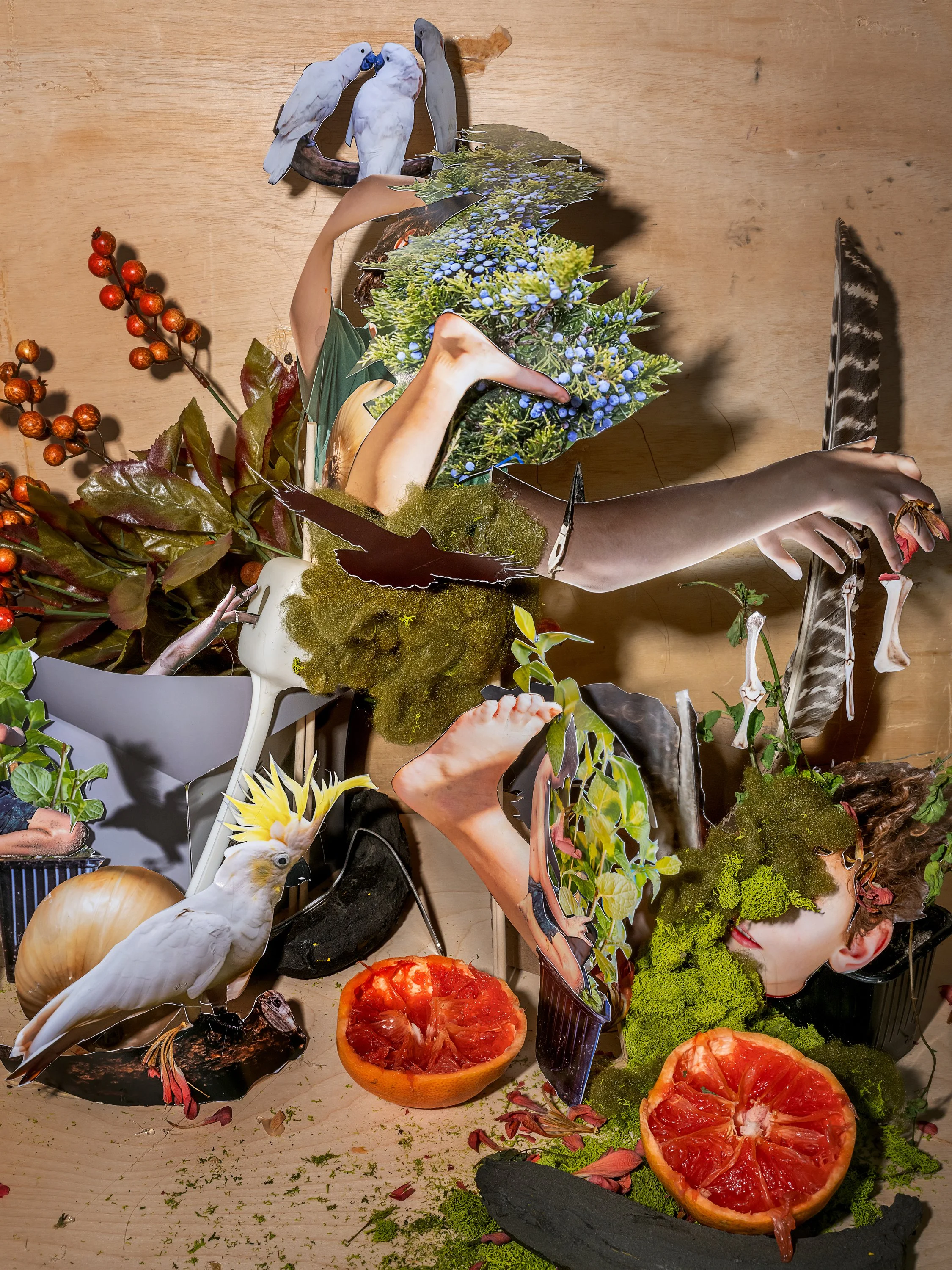 Elizabeth Pedinotti Haynes