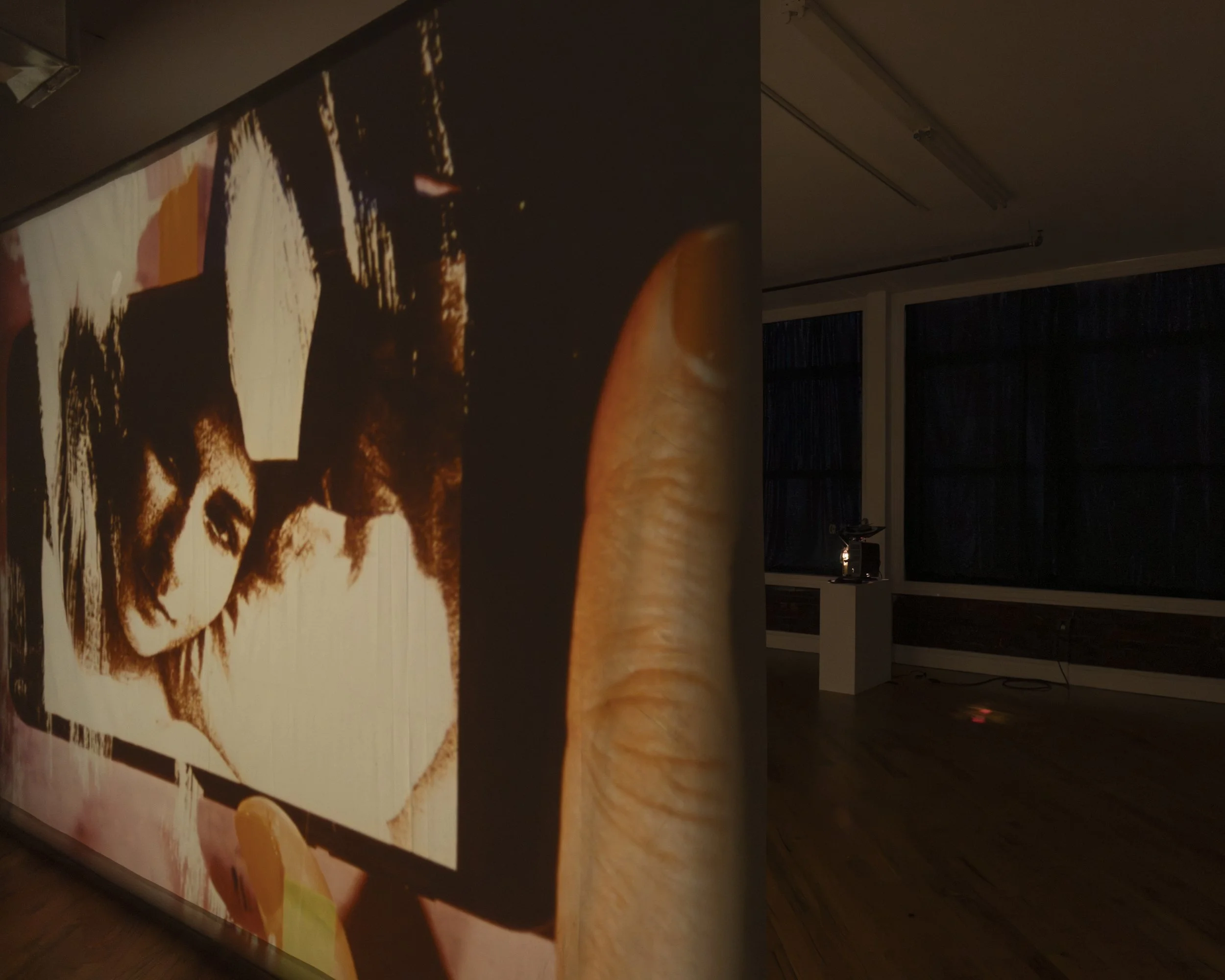 CARRIE SCHNEIDER: “FLW” AT DAVID PETER FRANCIS GALLERY, NEW YORK