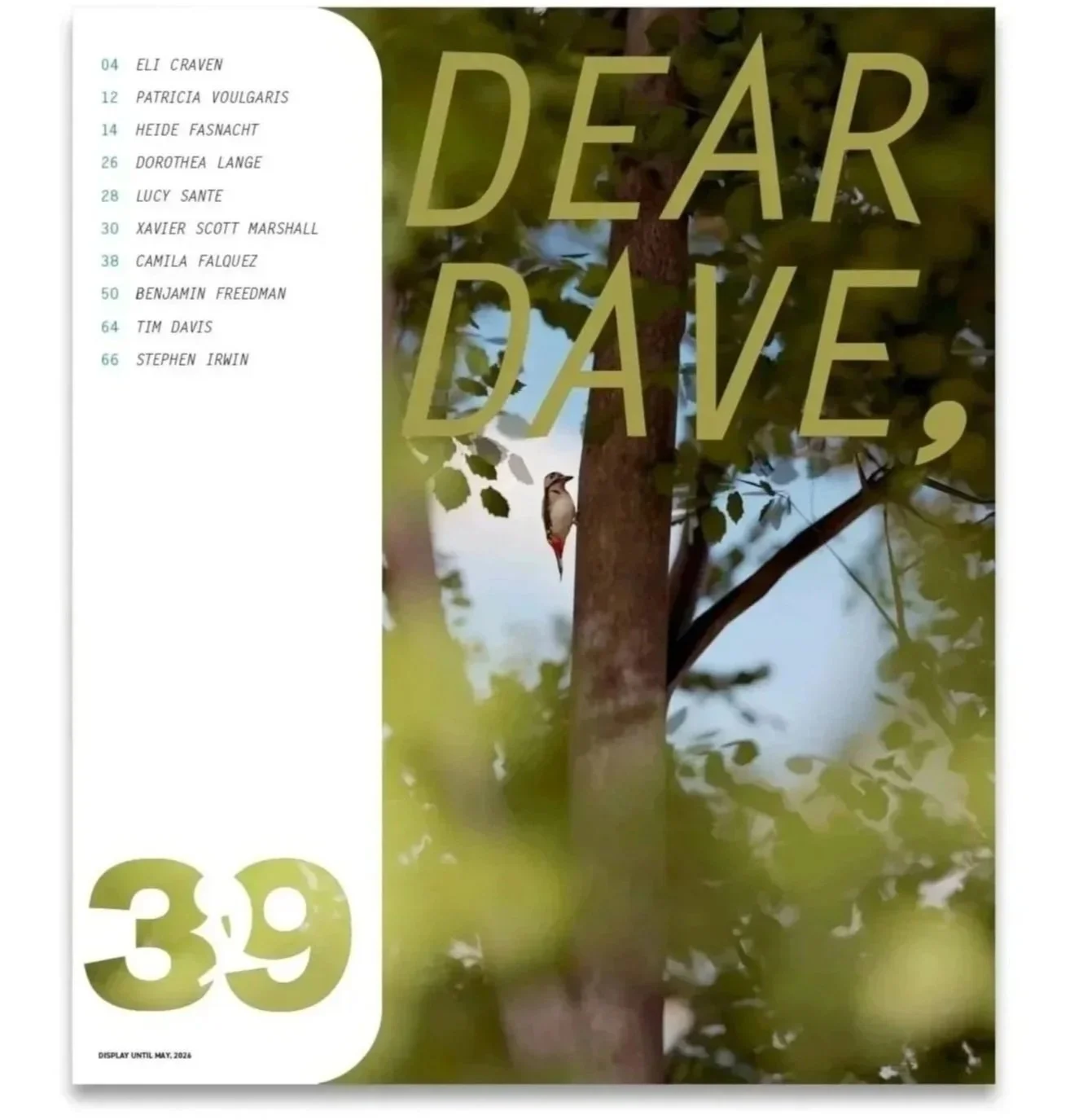 dear dave 39.jpg