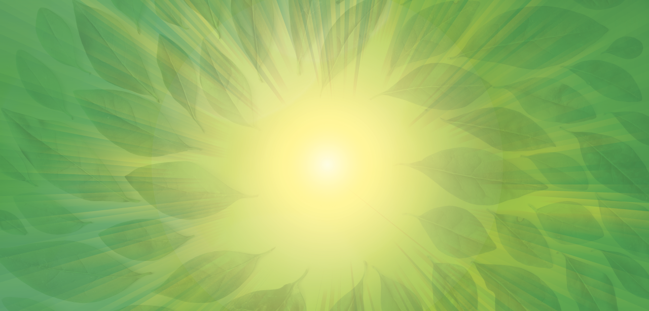 Dr-Peg---Leaves-Light-BG-Update-2.png
