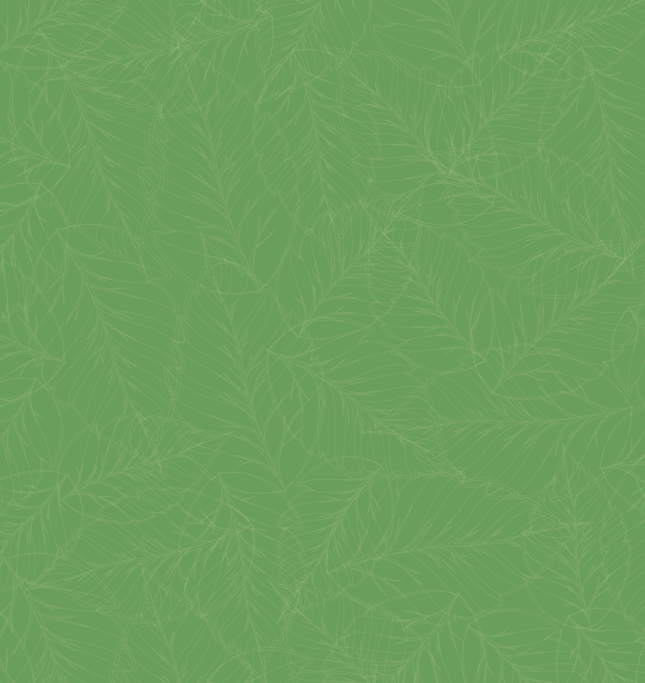 Dr-Peg---Leaves-Outline-BG-2.png