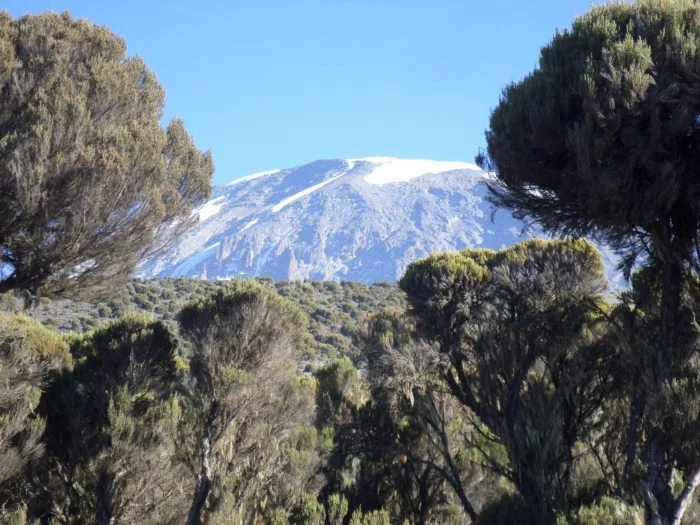 Climbing mount kilimanjaro