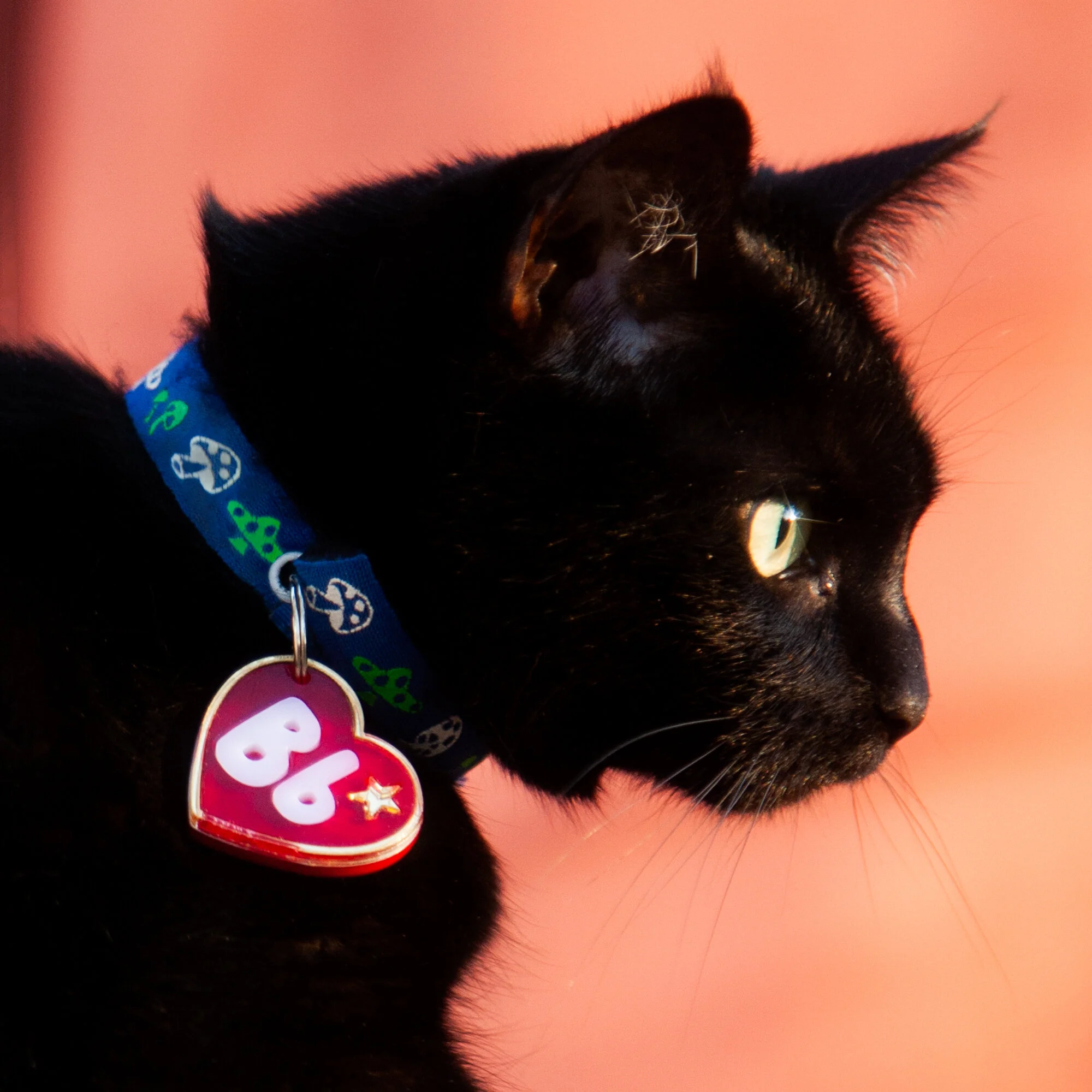 2021_02_16-202-Edit.jpg