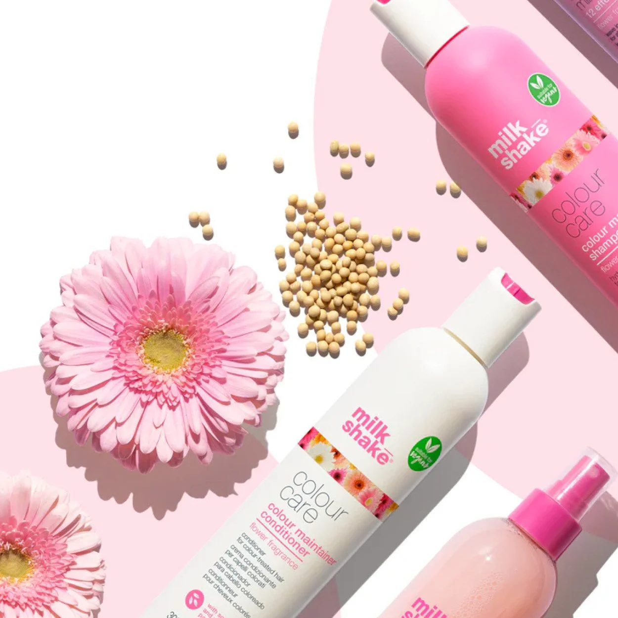 colour flower feature.jpg