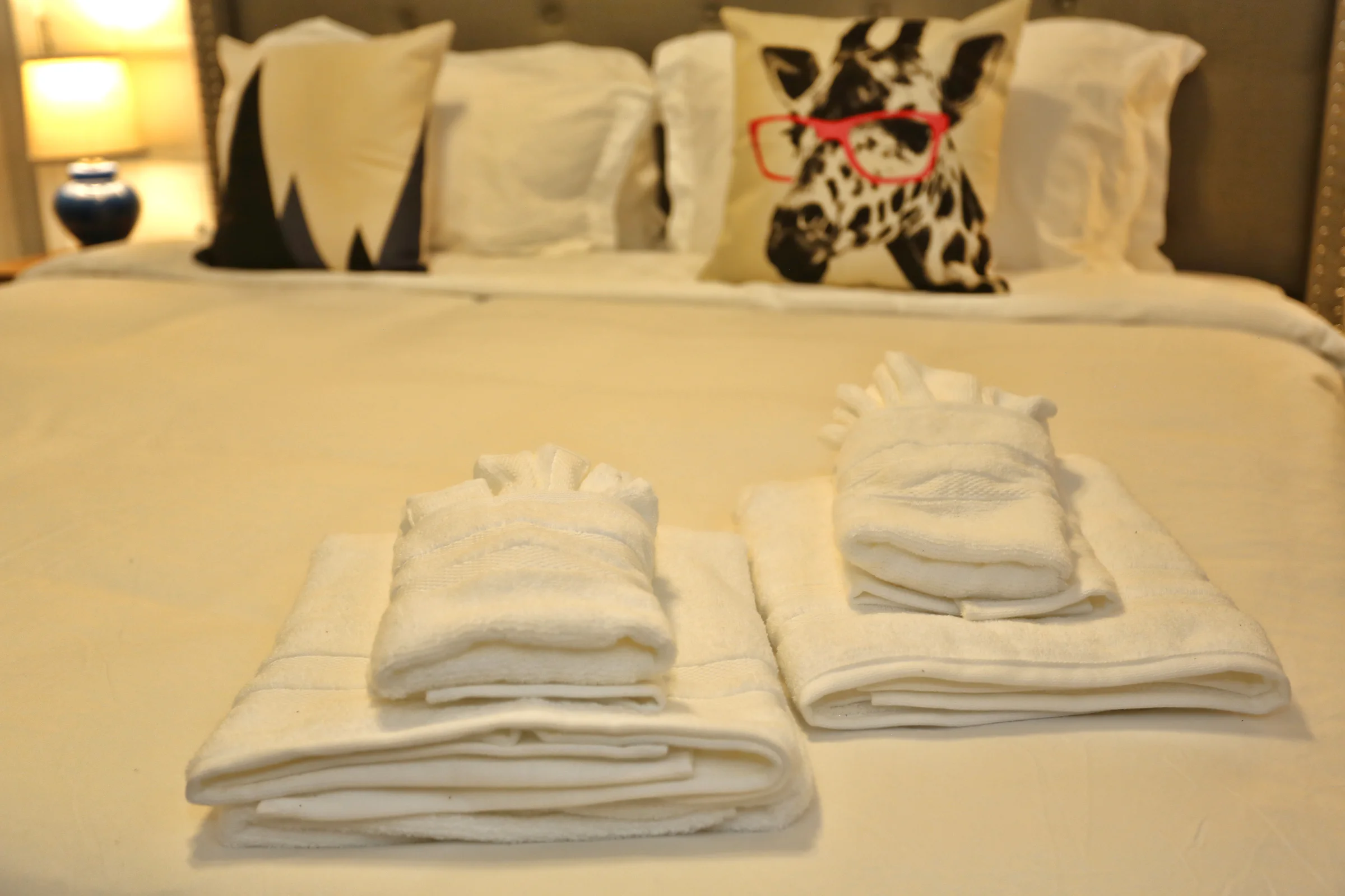 112 Market best airbnb in Wilmington19.jpg