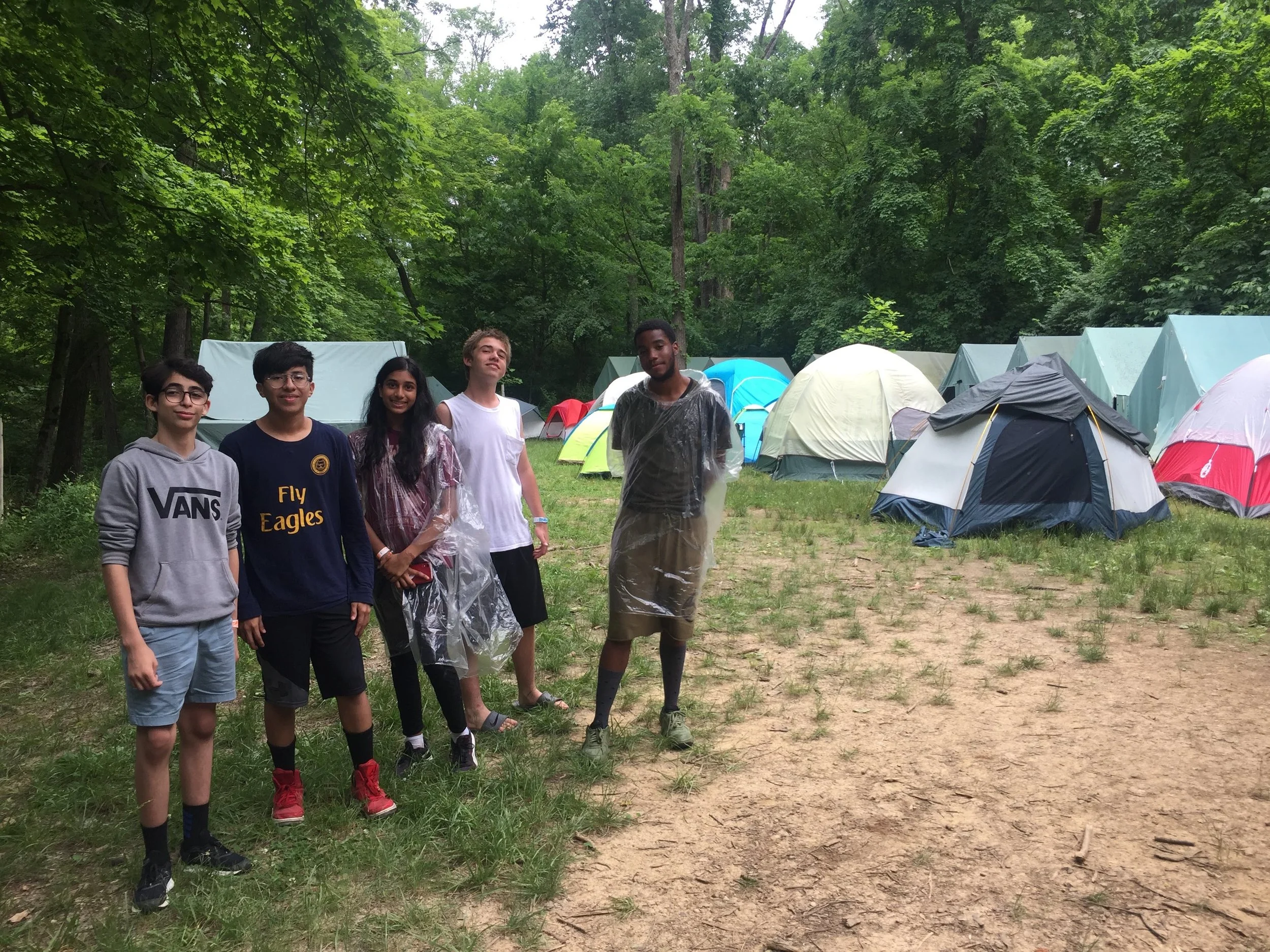 From the Executive Director