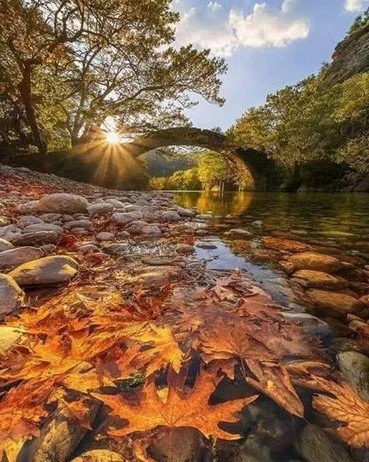 Experiencing nature's "art gallery"