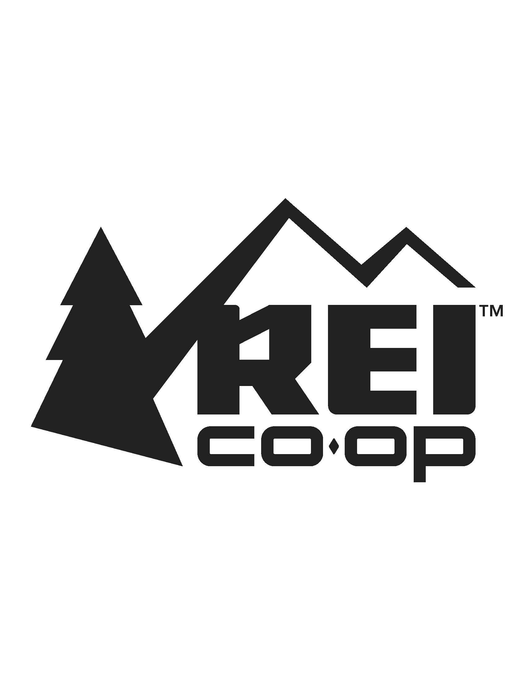 REI logo small (002).jpg