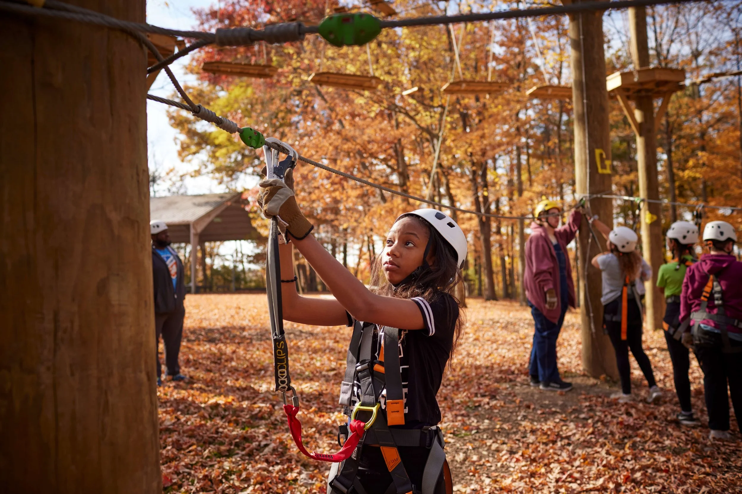 The power of collective action