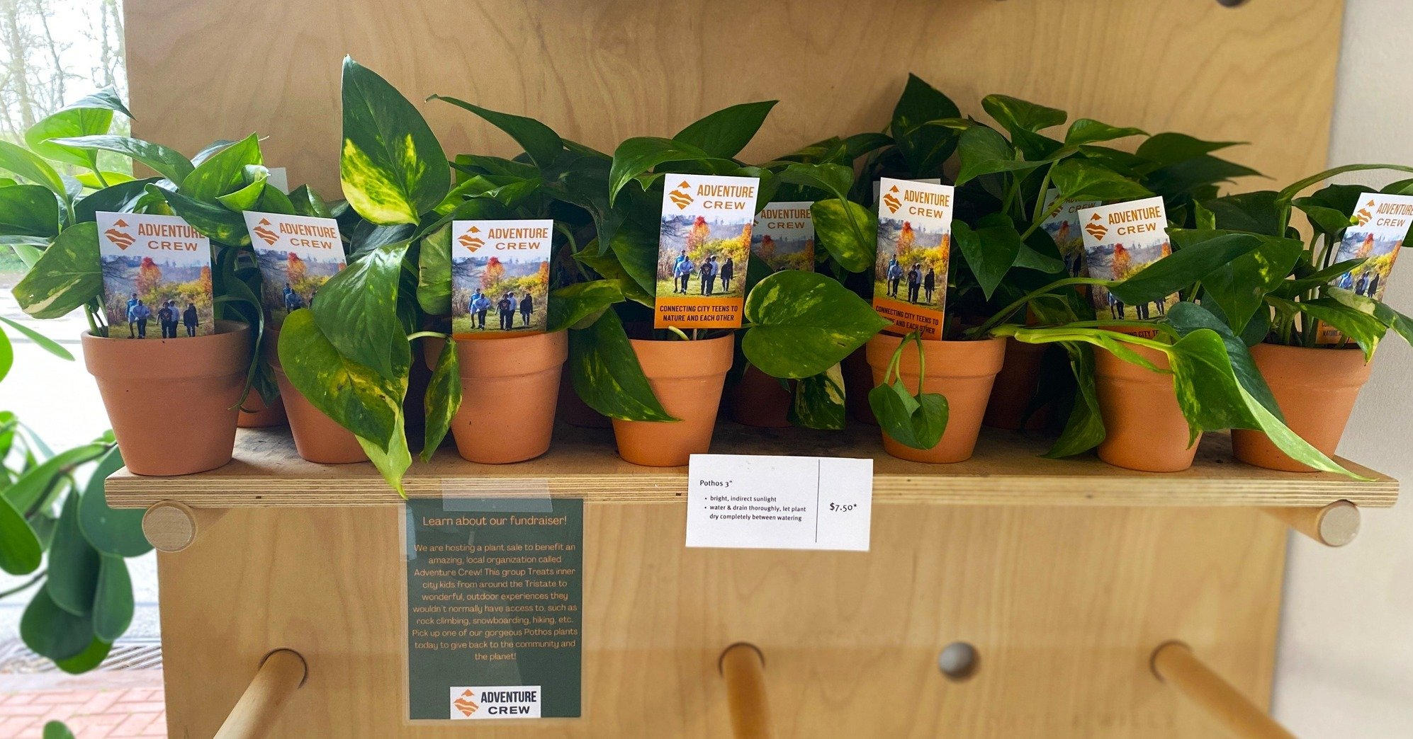 Earth Day.
🌎🌿
Today is Earth Day -- how are you celebrating? Here's one idea -- stop by and purchase a plant from our friends at Benefit Salon in Columbia Tusculum! In honor of Earth month in April, the salon is selling pothos (an easy houseplant t