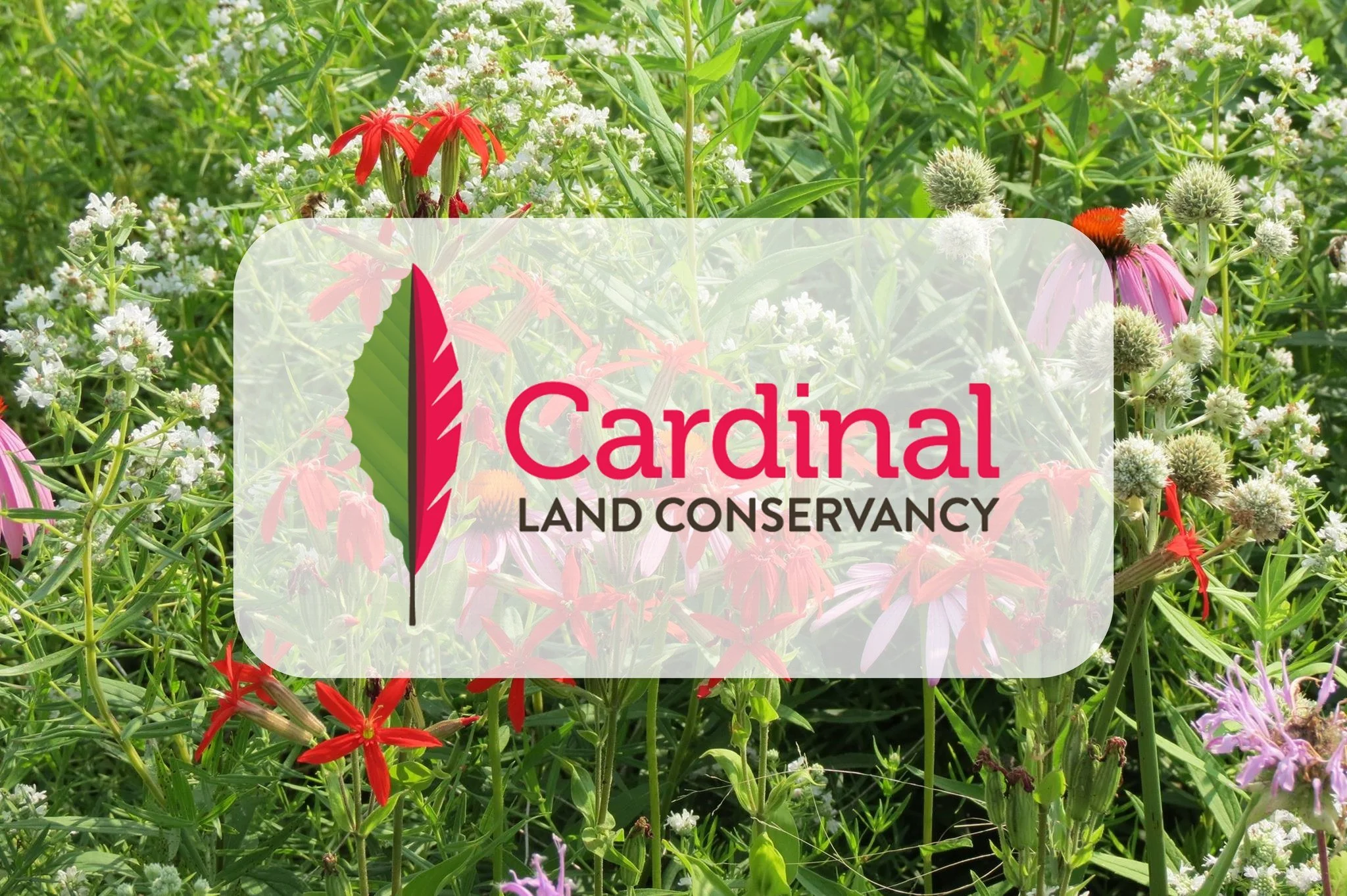 Meet the Crew: Cardinal Land Conservancy, partner