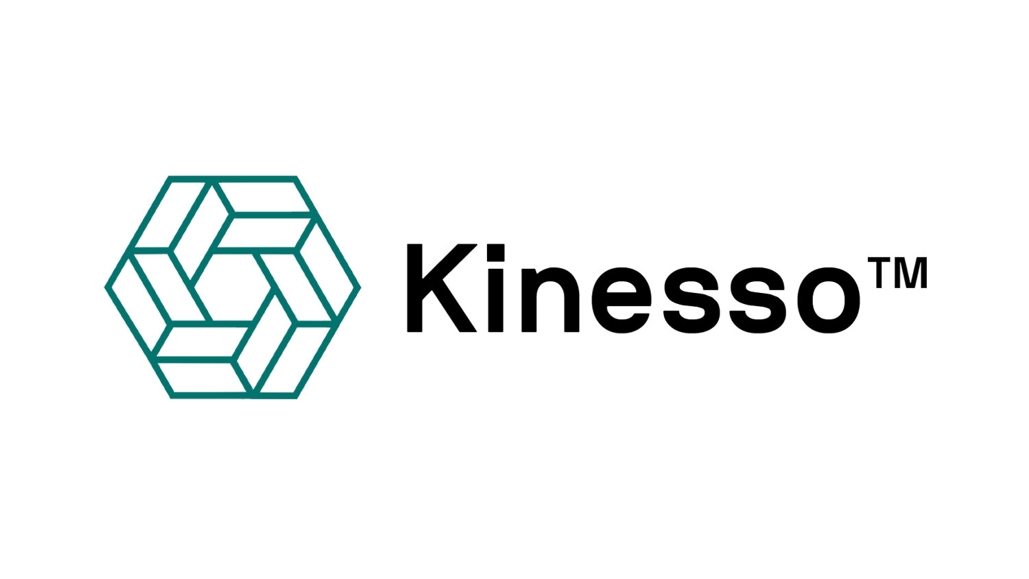 Kinesso Logo.jpg