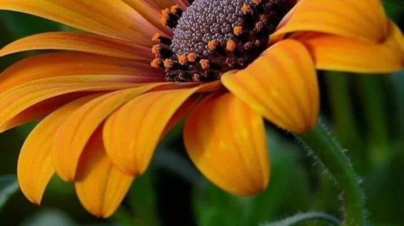 How Healthy Are Your Spiritual Eyes?