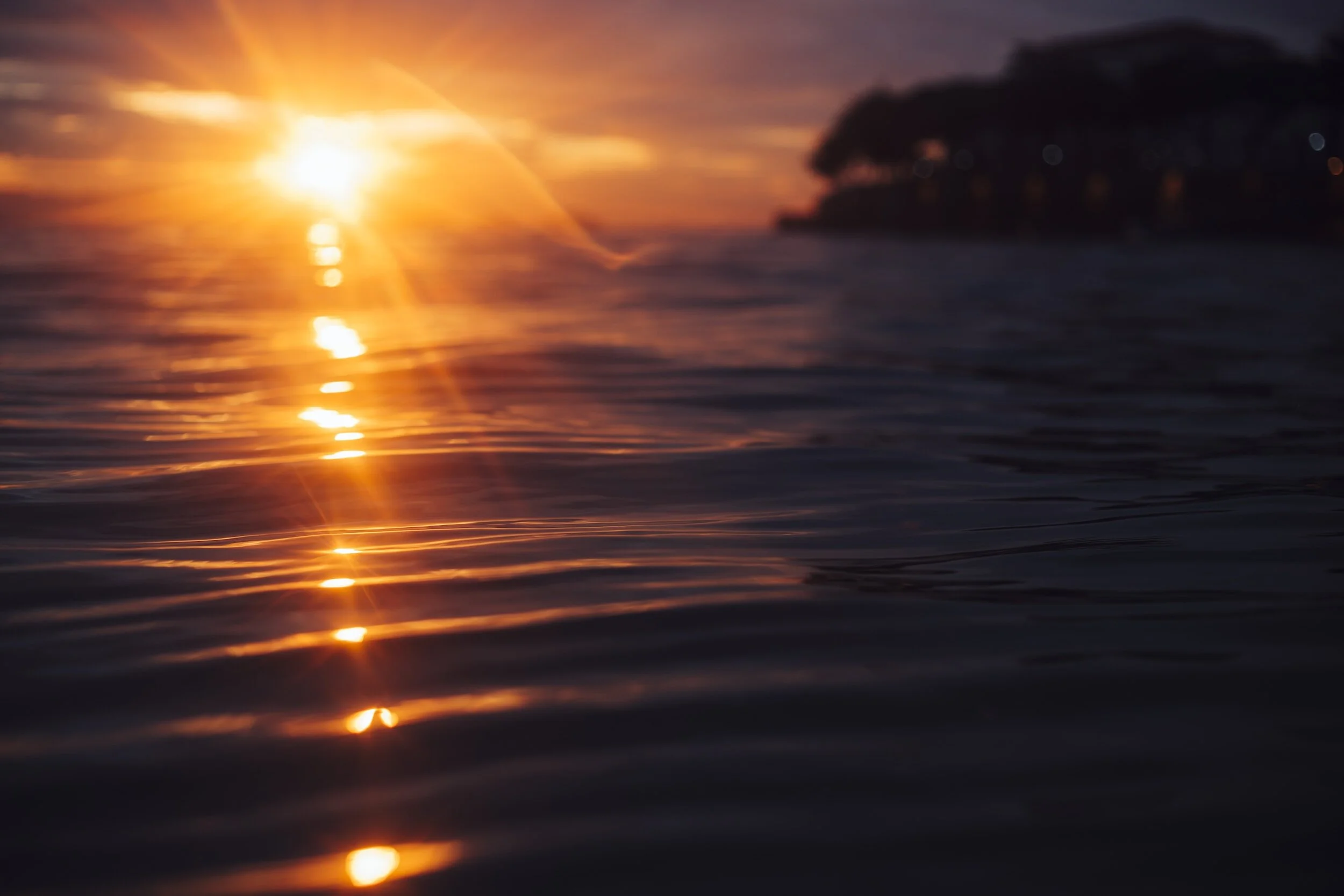 What is Happiness and Joy?