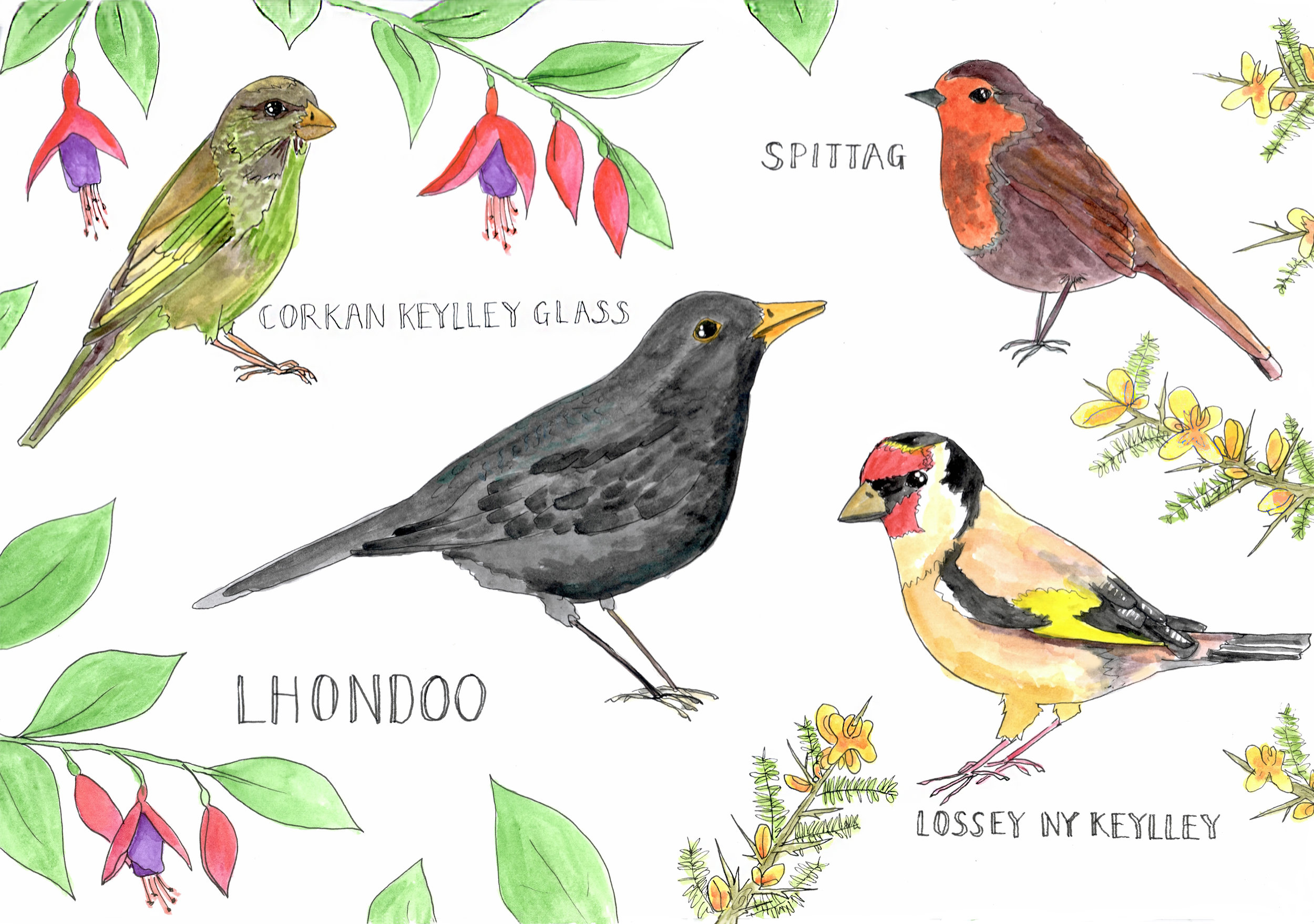 Manx Birds 1 A4 print.jpg
