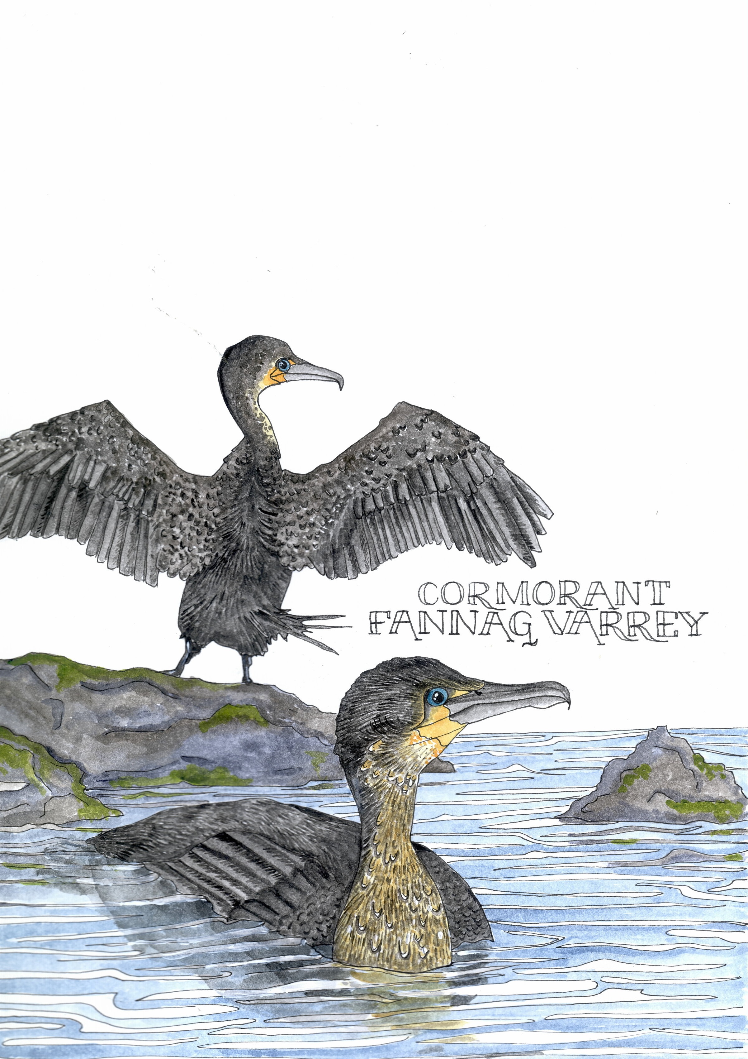 cormorant finished001.jpg