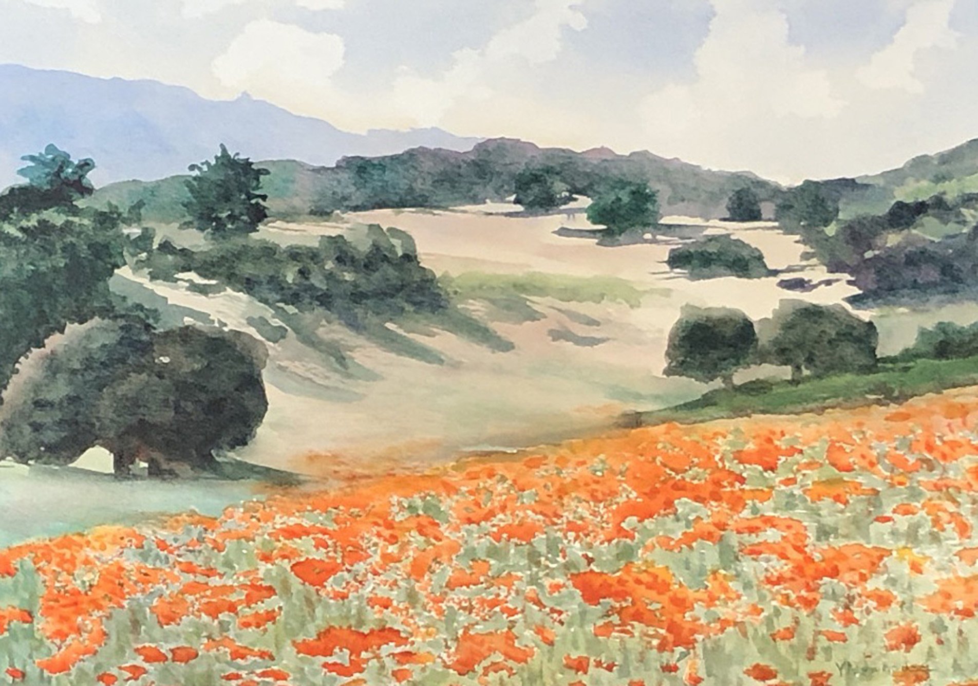 Poppies on the Ridge - Yvonne Newhouse 